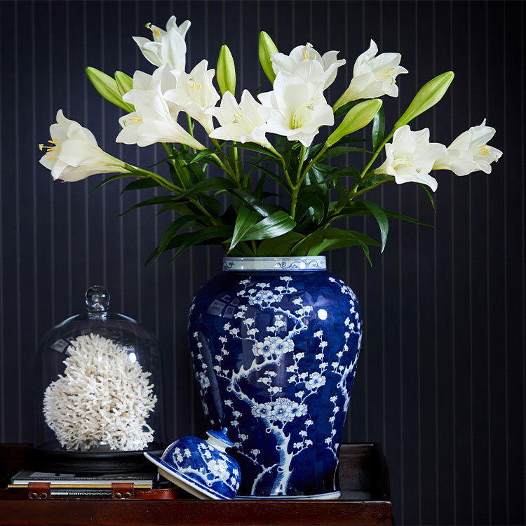 Flower World - Cut Flowers