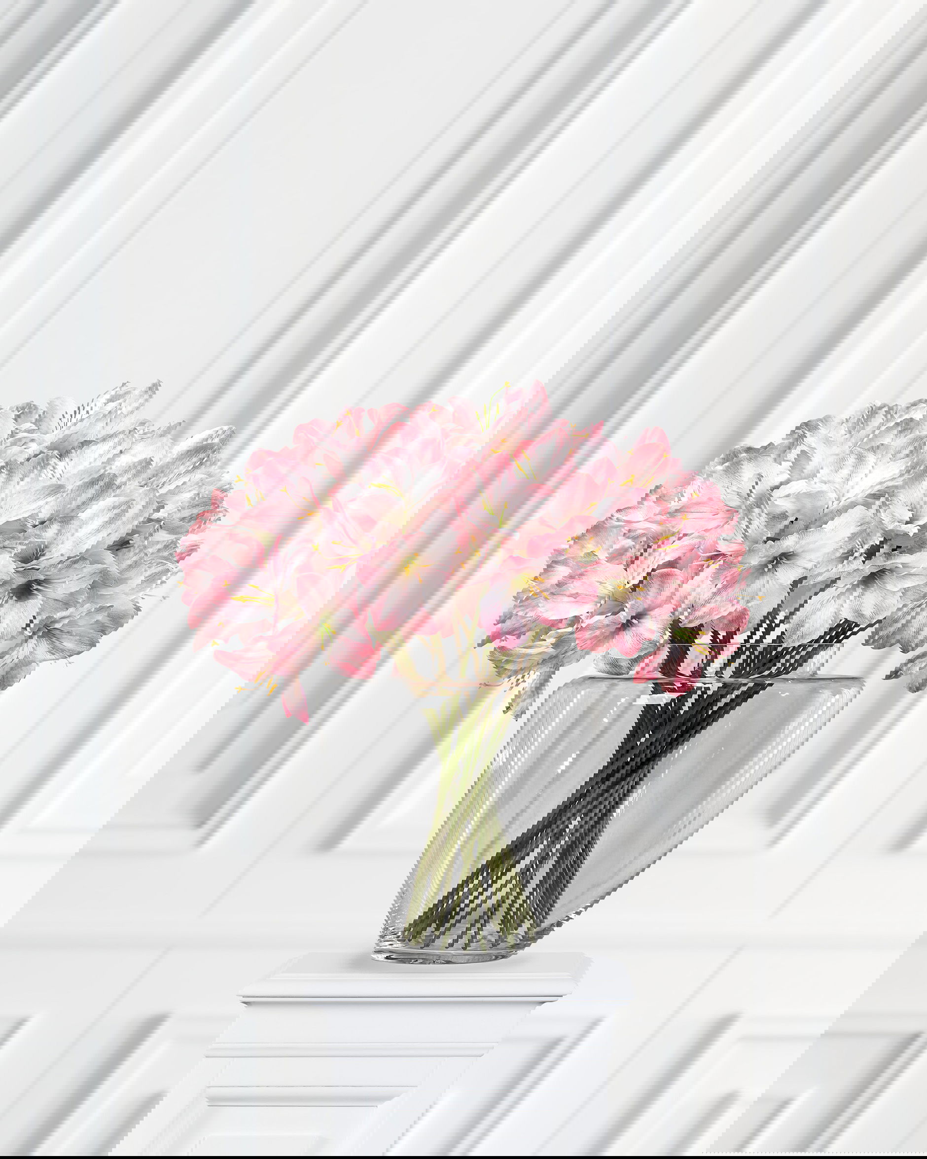 Amaryllis cut flower pink