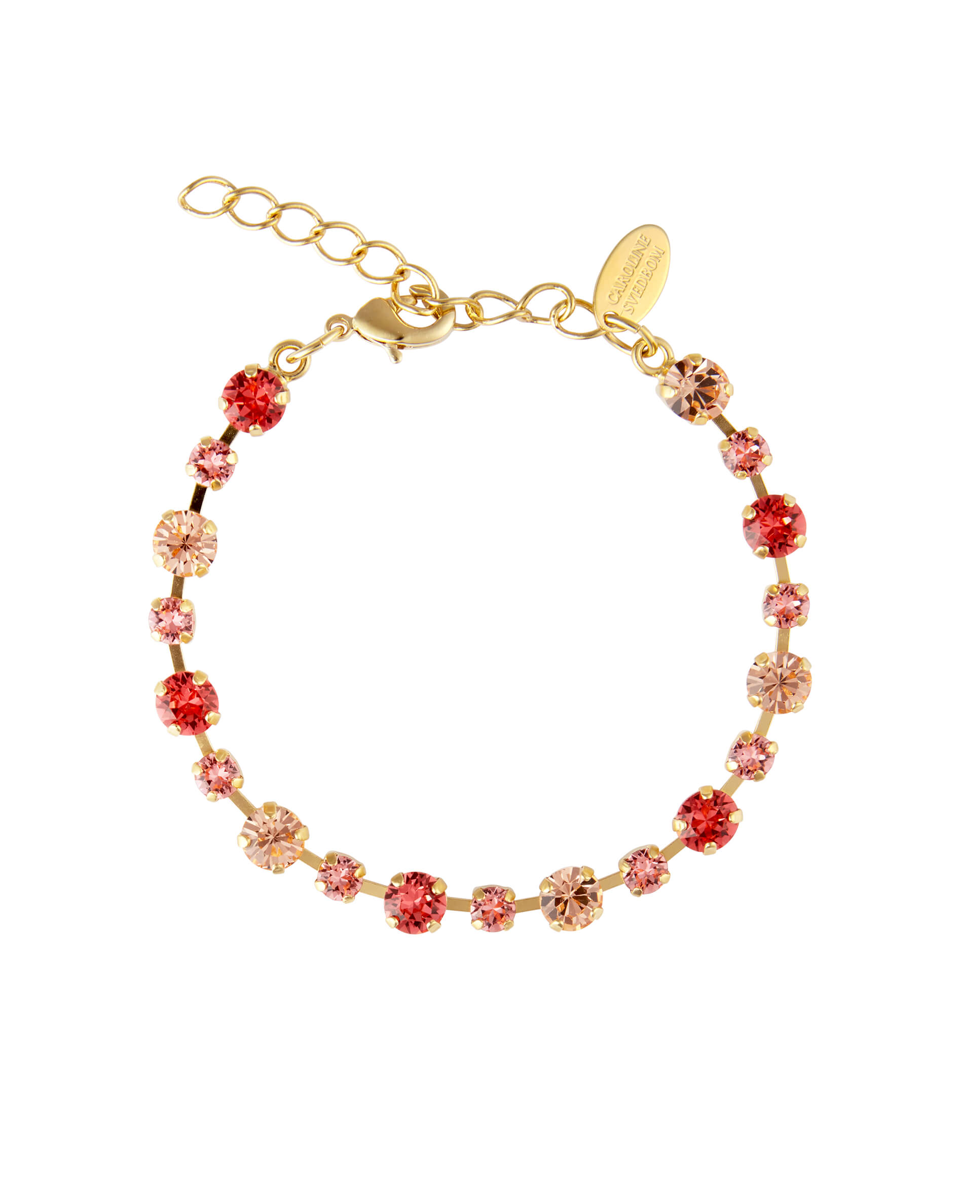 Calanthe ranneke peach combo