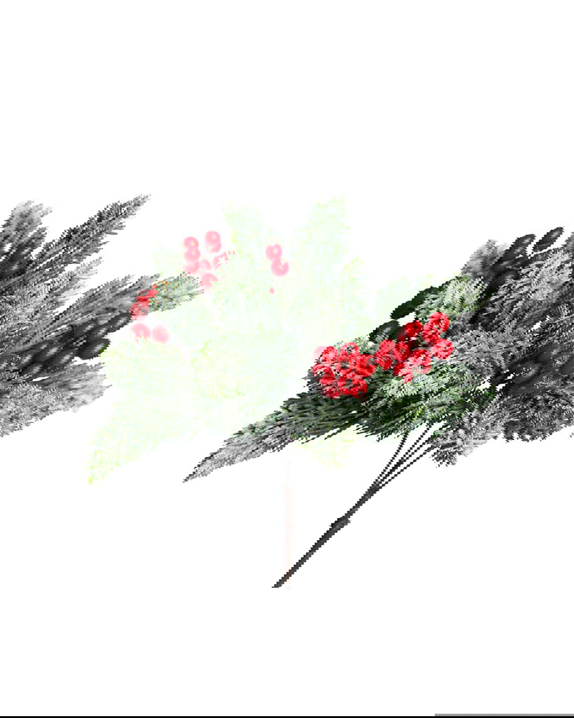 Vinterbär kvist röda bär