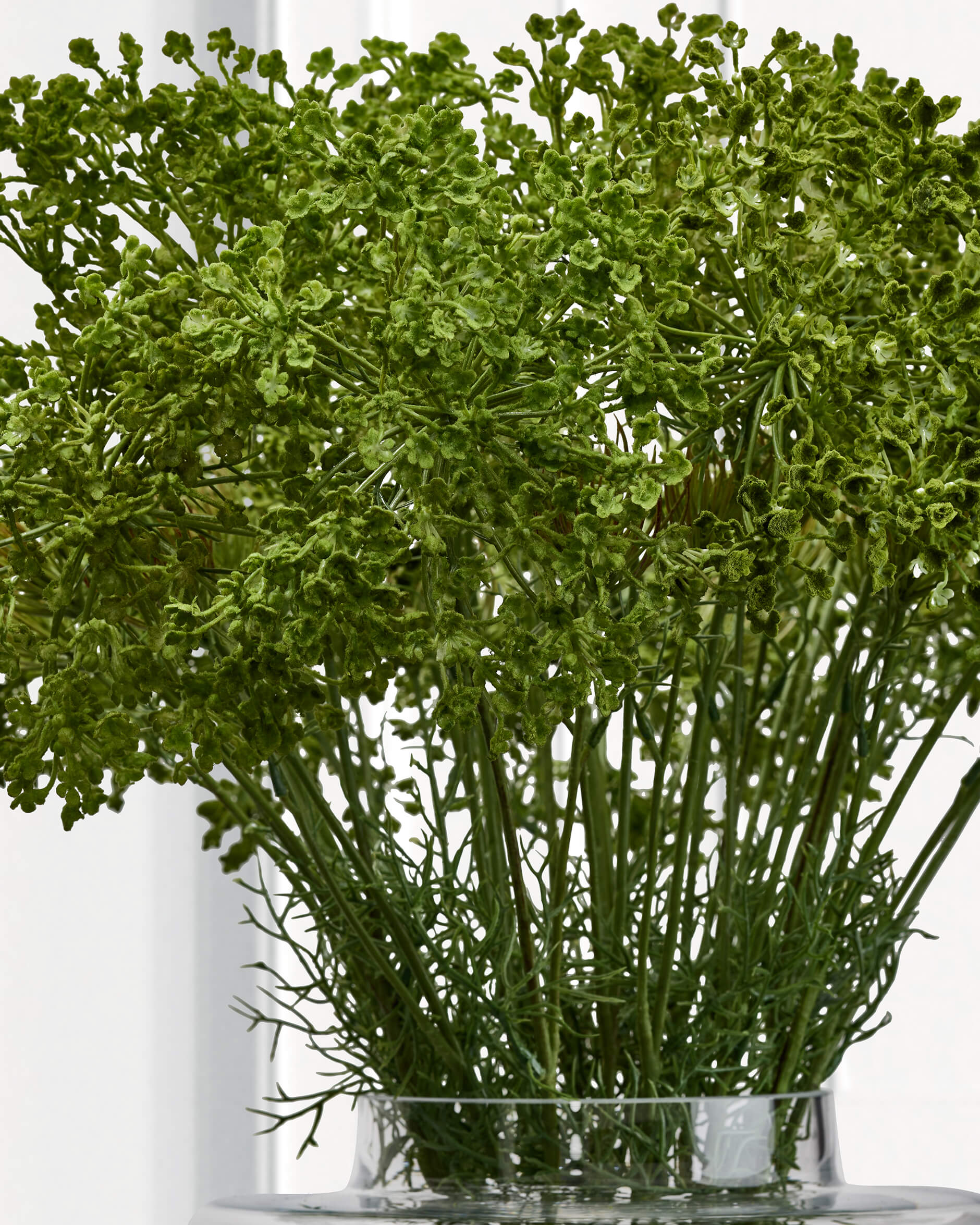 Allium snittblomma grön