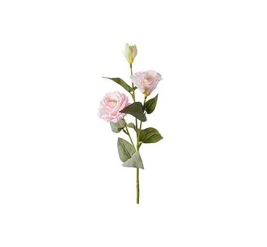 Ljusrosa - Prärieklocka snittblomma rosa OUTLET