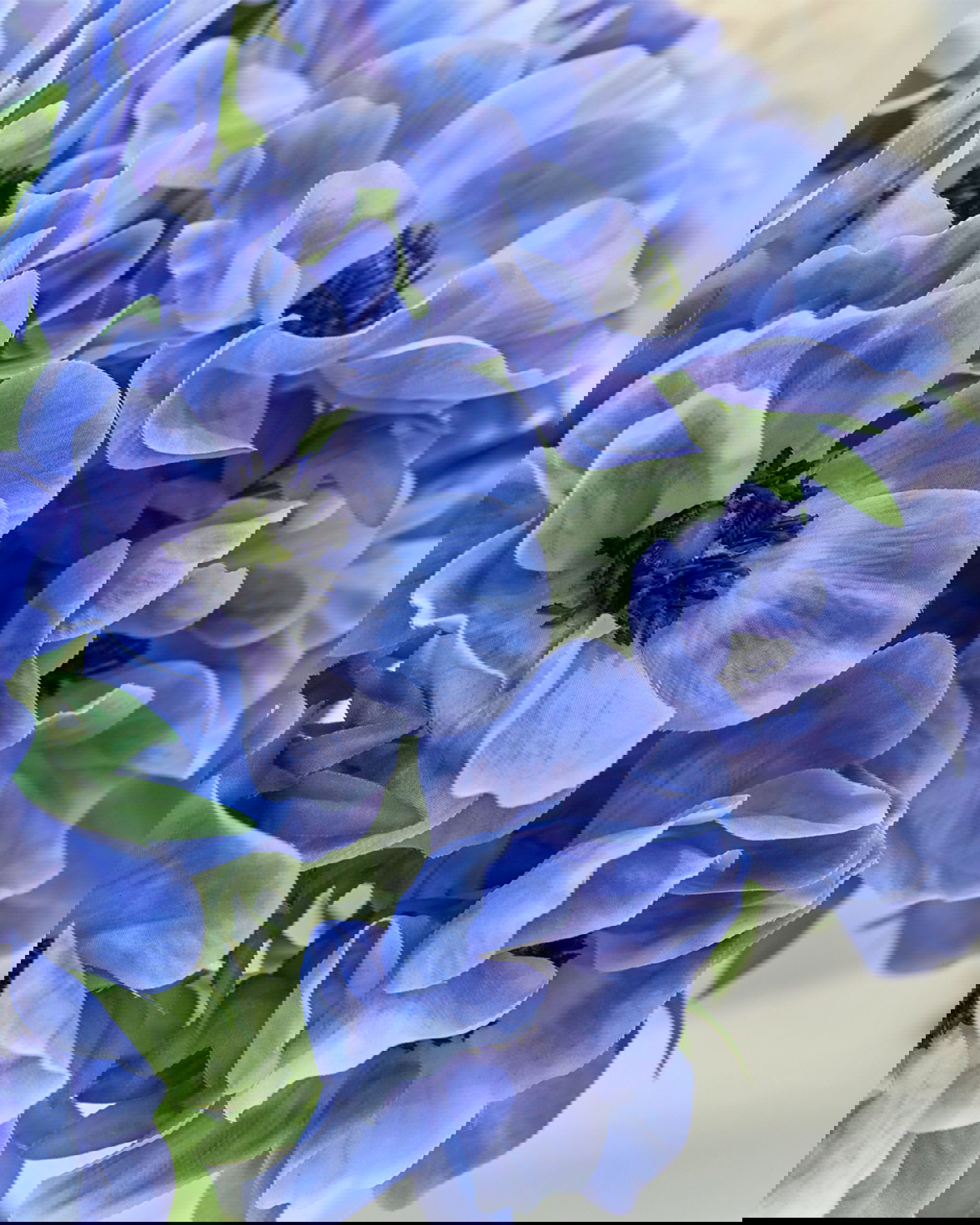 Anemon snittblomma blå