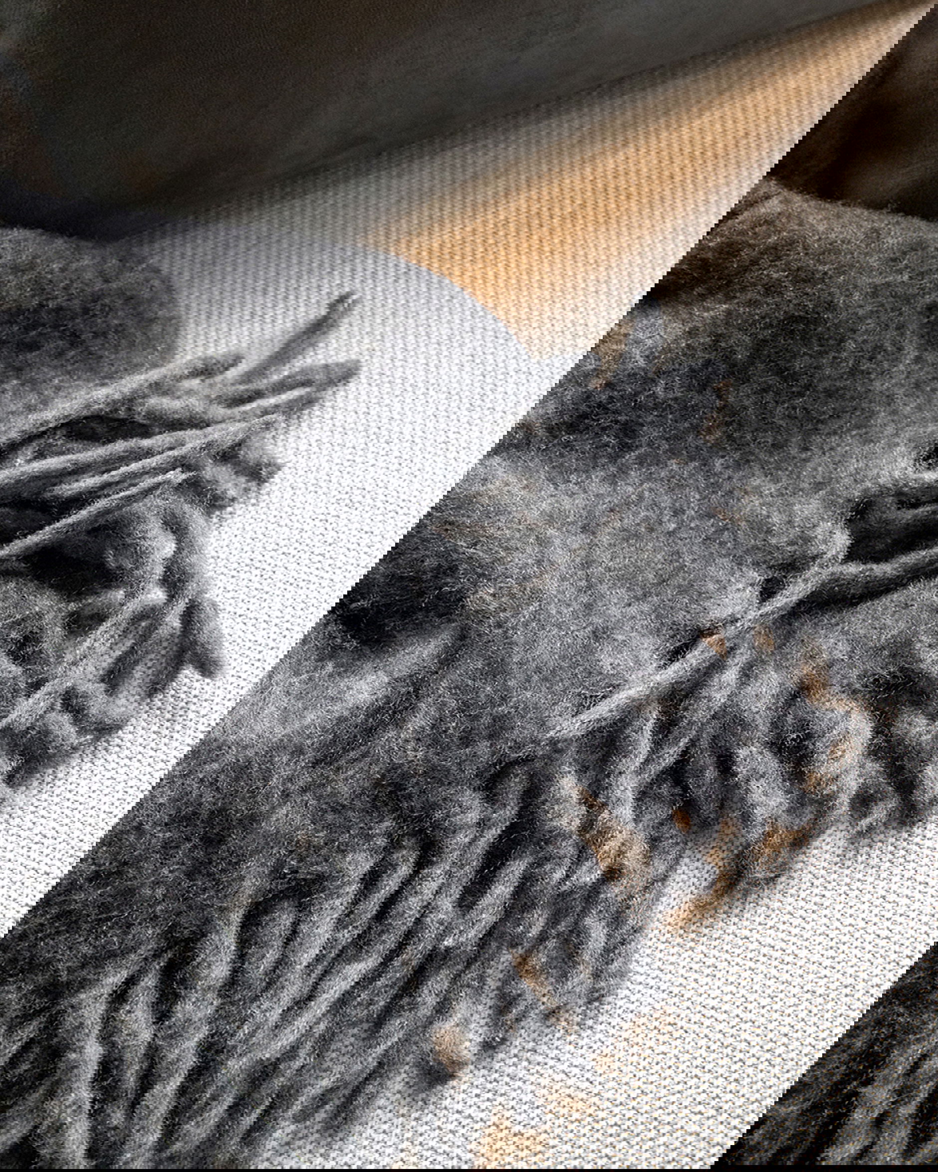 Splendid viltti harmaa/musta OUTLET