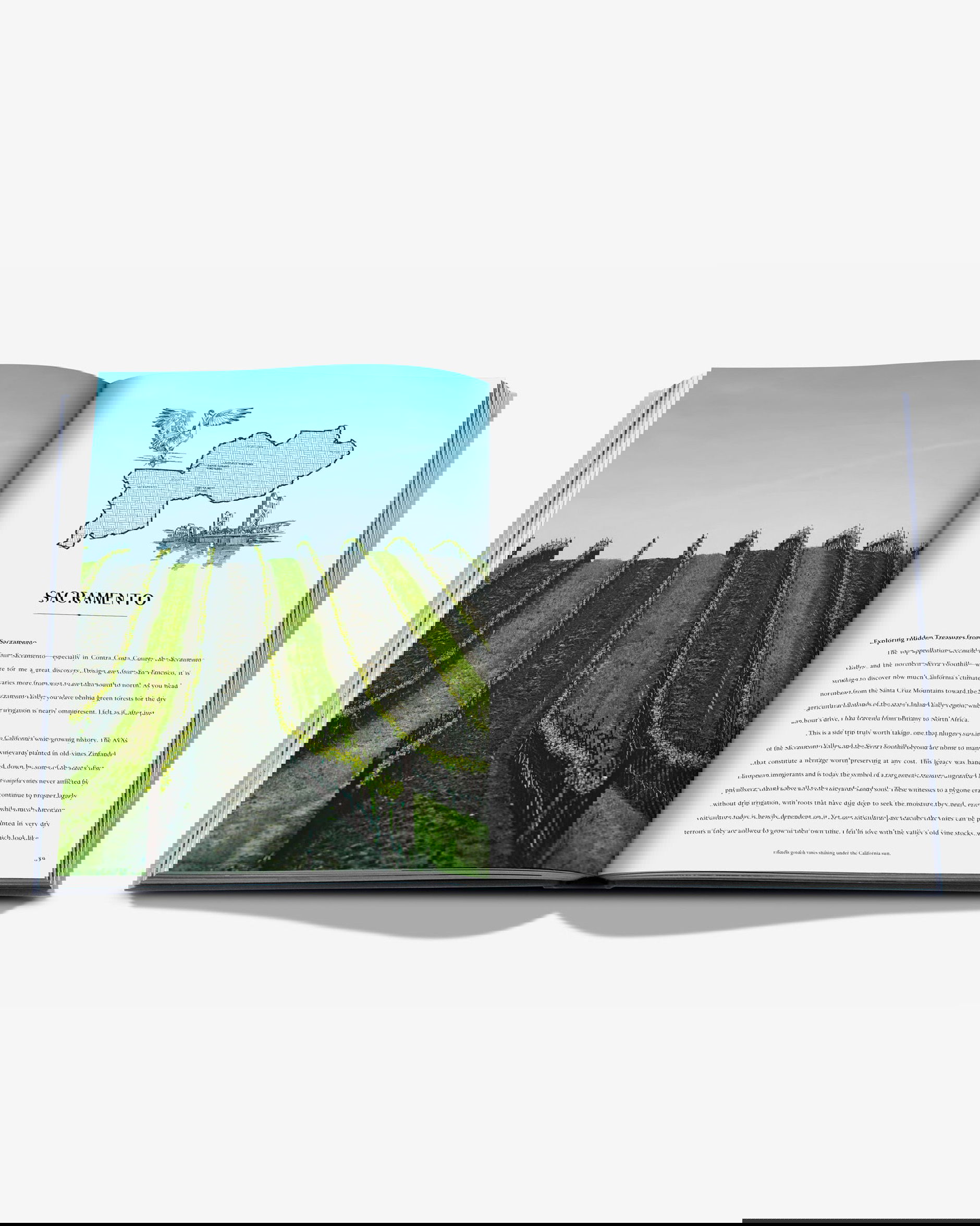 Wine & Travel United States of America