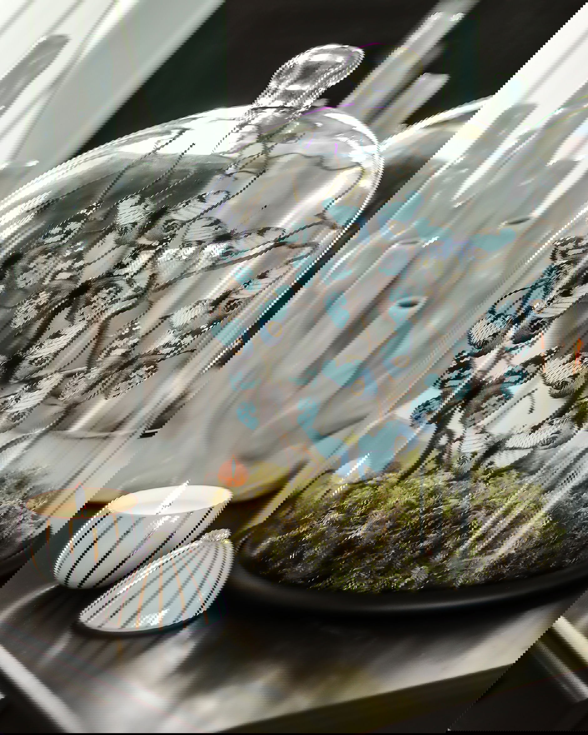 Bella Bell glaskåpa svart