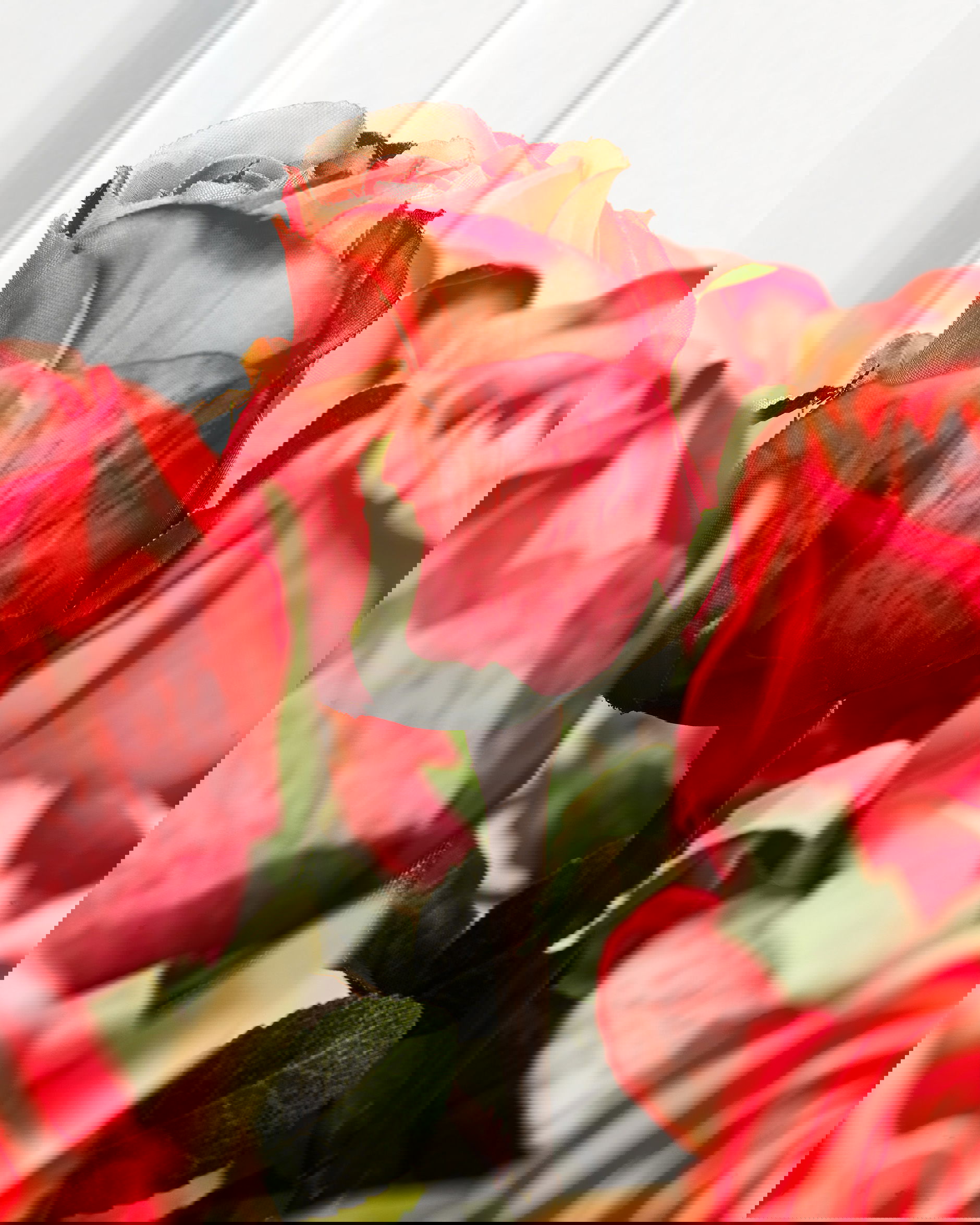 Ros snittblomma korall