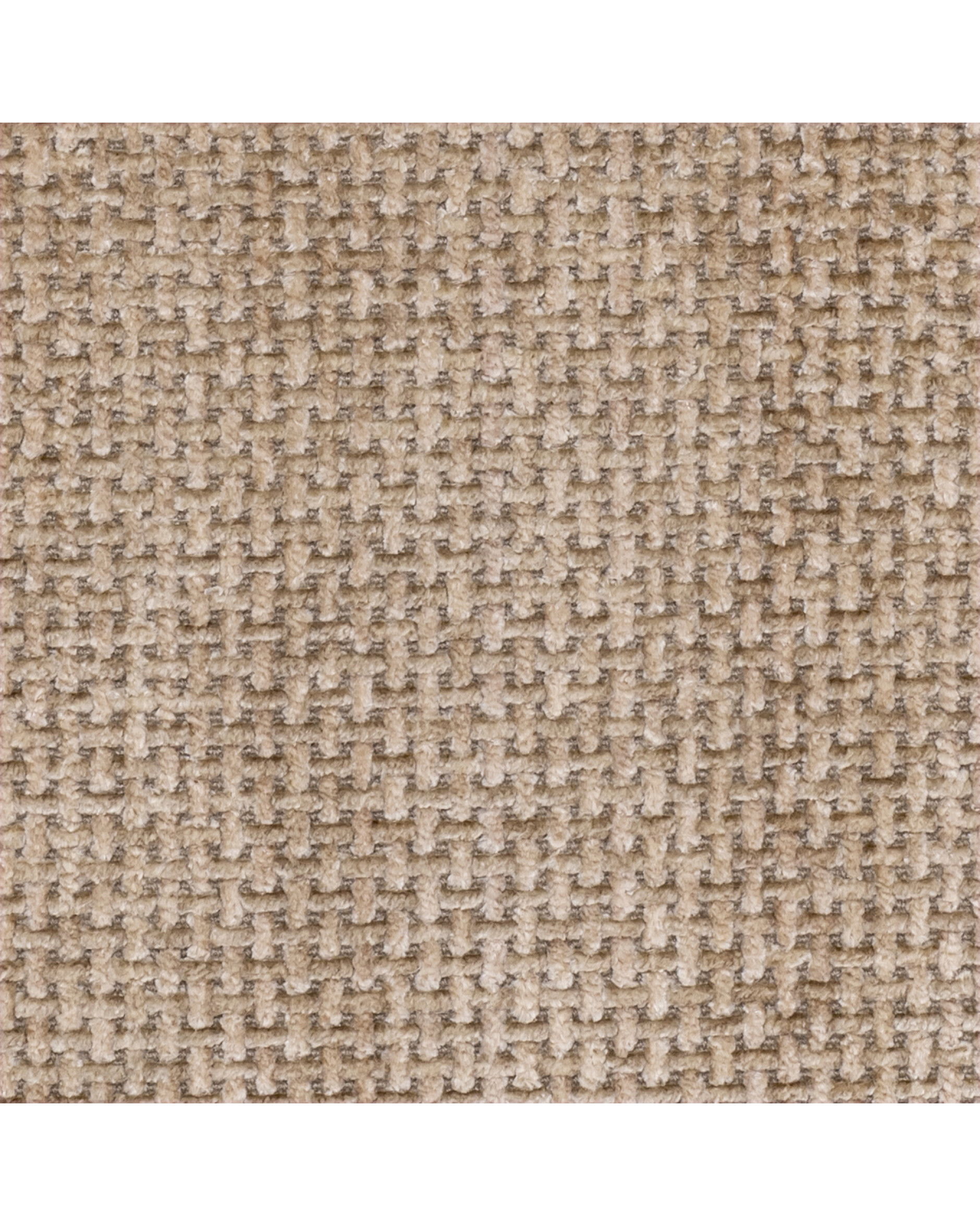 Björn bänk lyssa sand