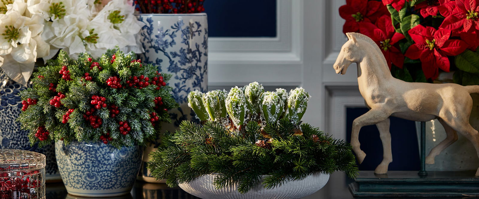 Julblommor | Newport Christmas Shop