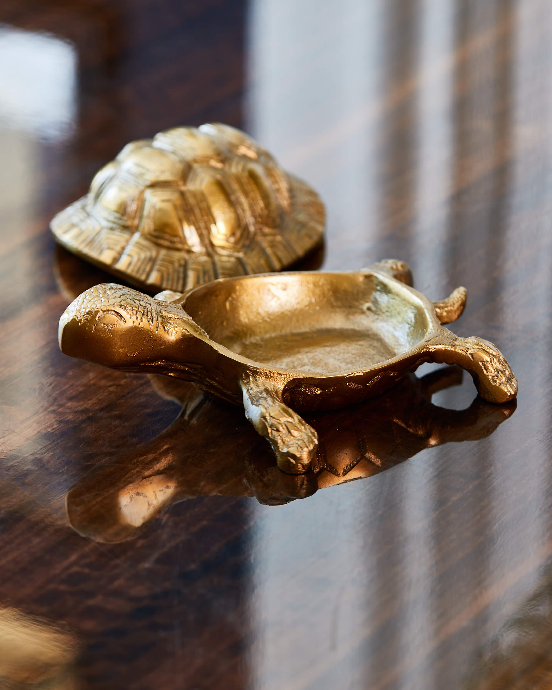 Kilpikonna rasia messinki