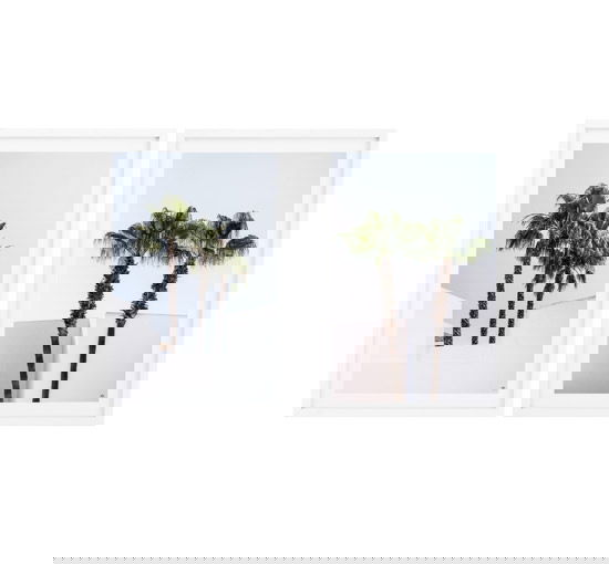 Palm Trees prints Newport