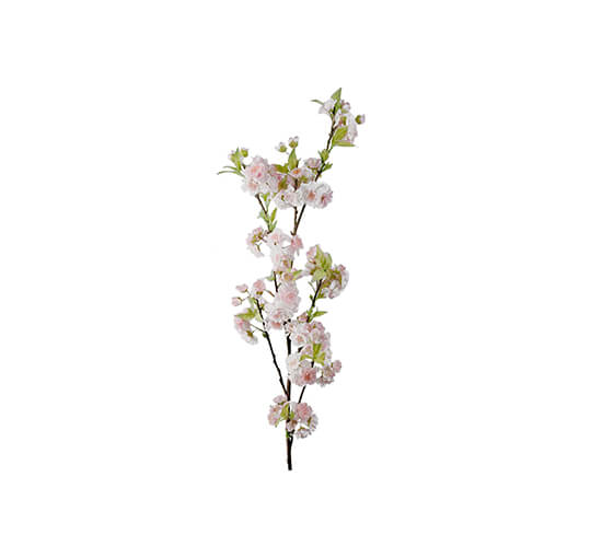 Rosa - Cherry Blossom Branch White