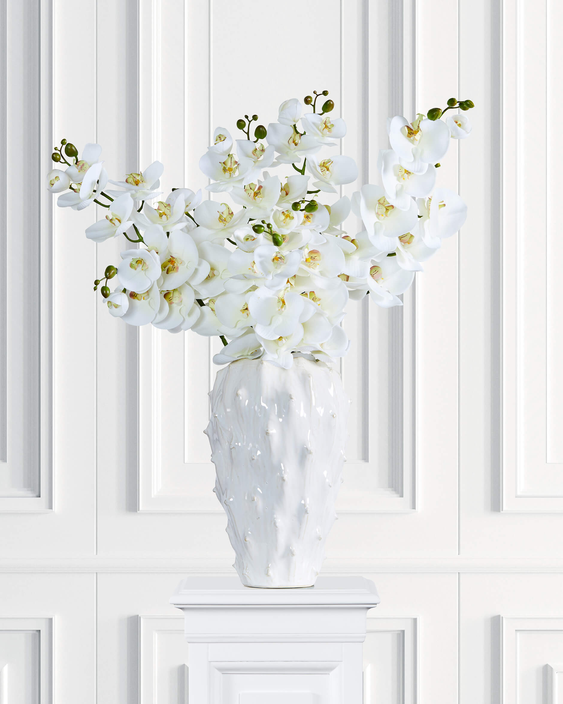 Orkidé snittblomma vit