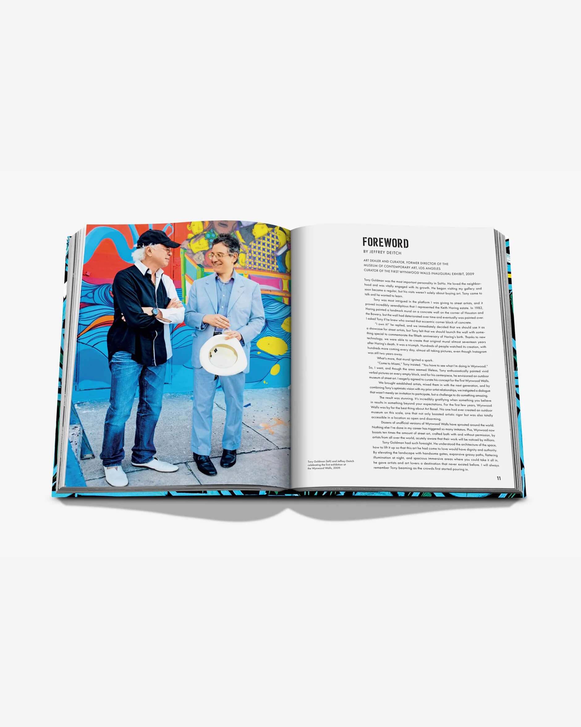 Street Art Icons: The Story of Wynwood Walls