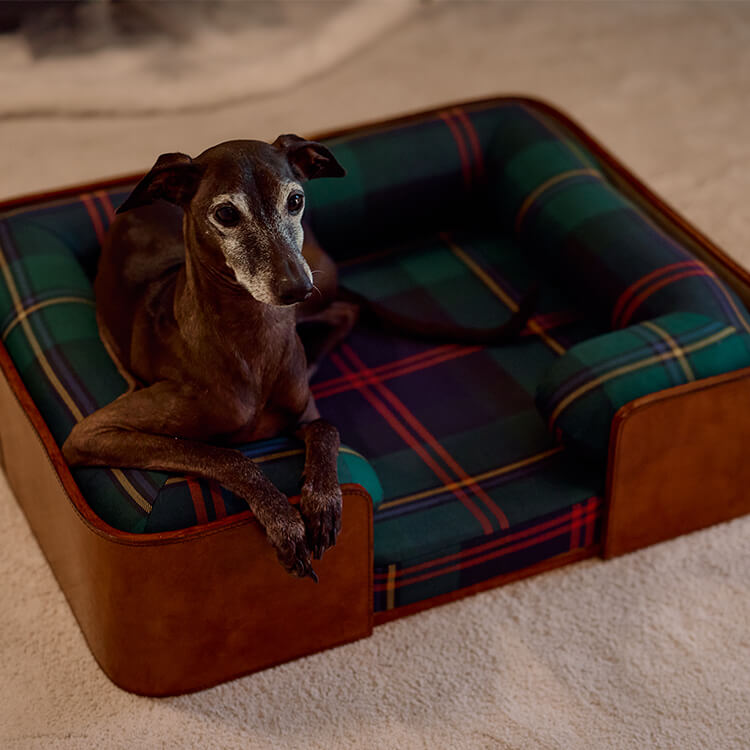 Dog beds