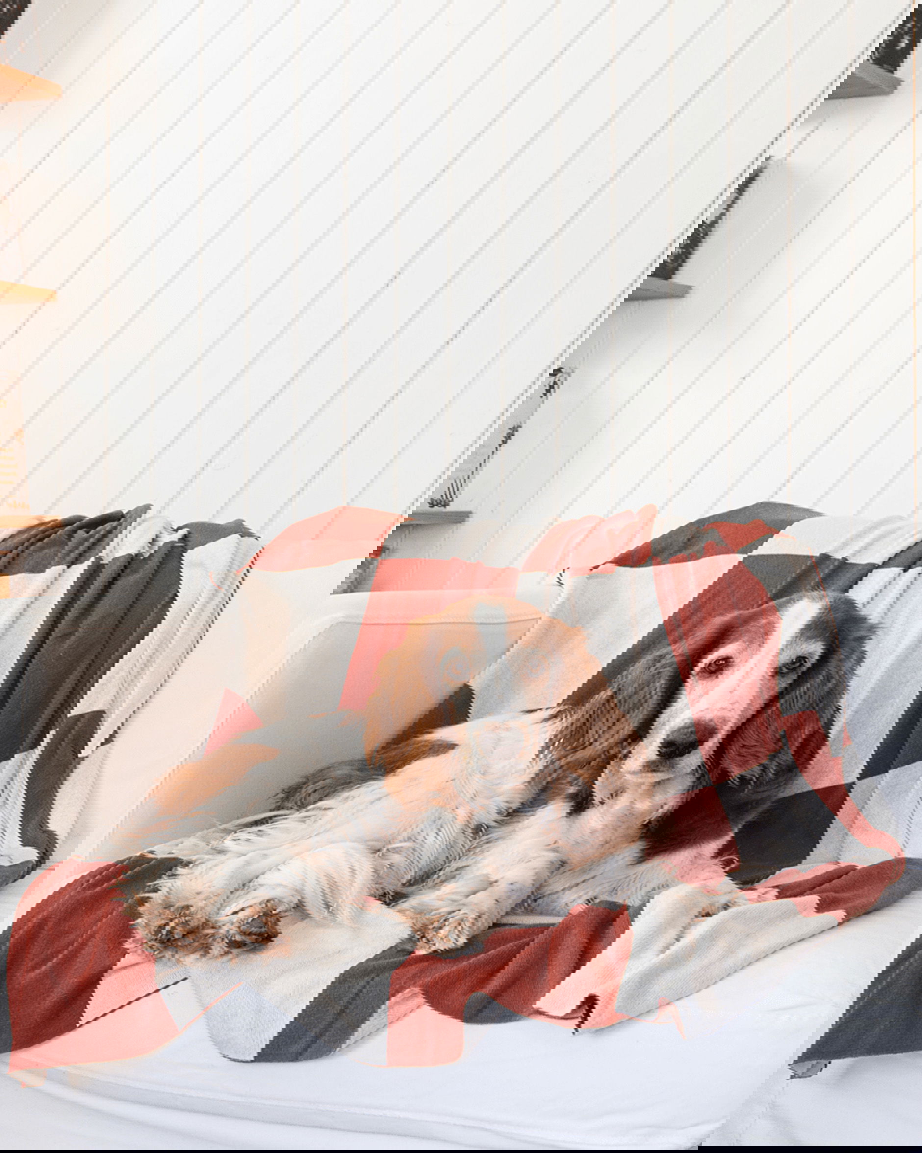 Square Throw Dark Terracotta