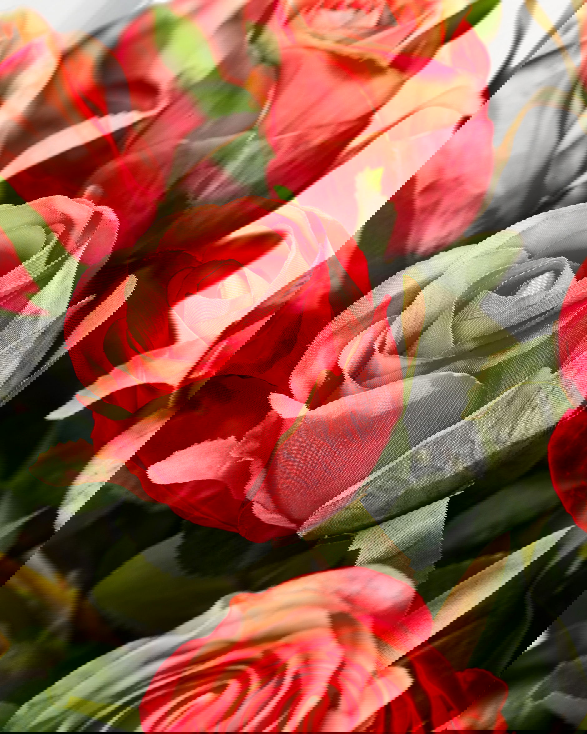 Ros snittblomma korall