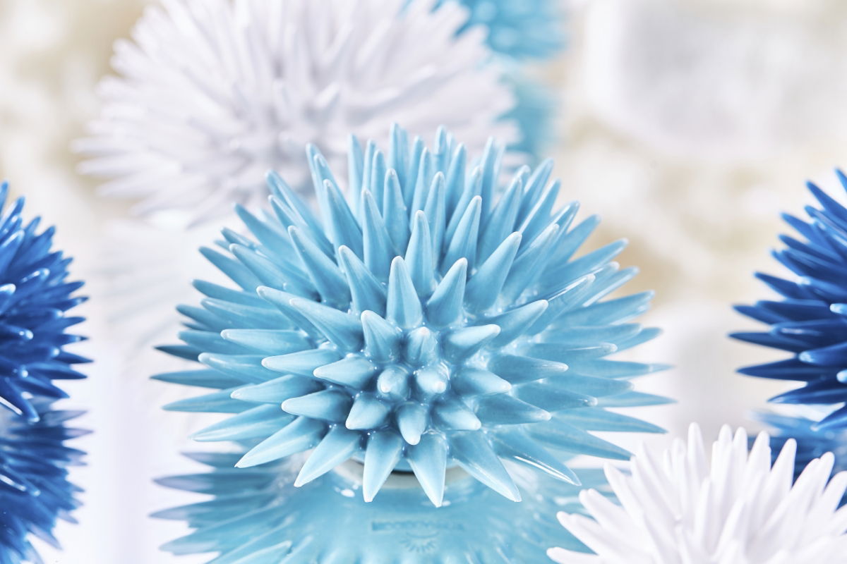 Capri Sea Urchin Decor Turquoise