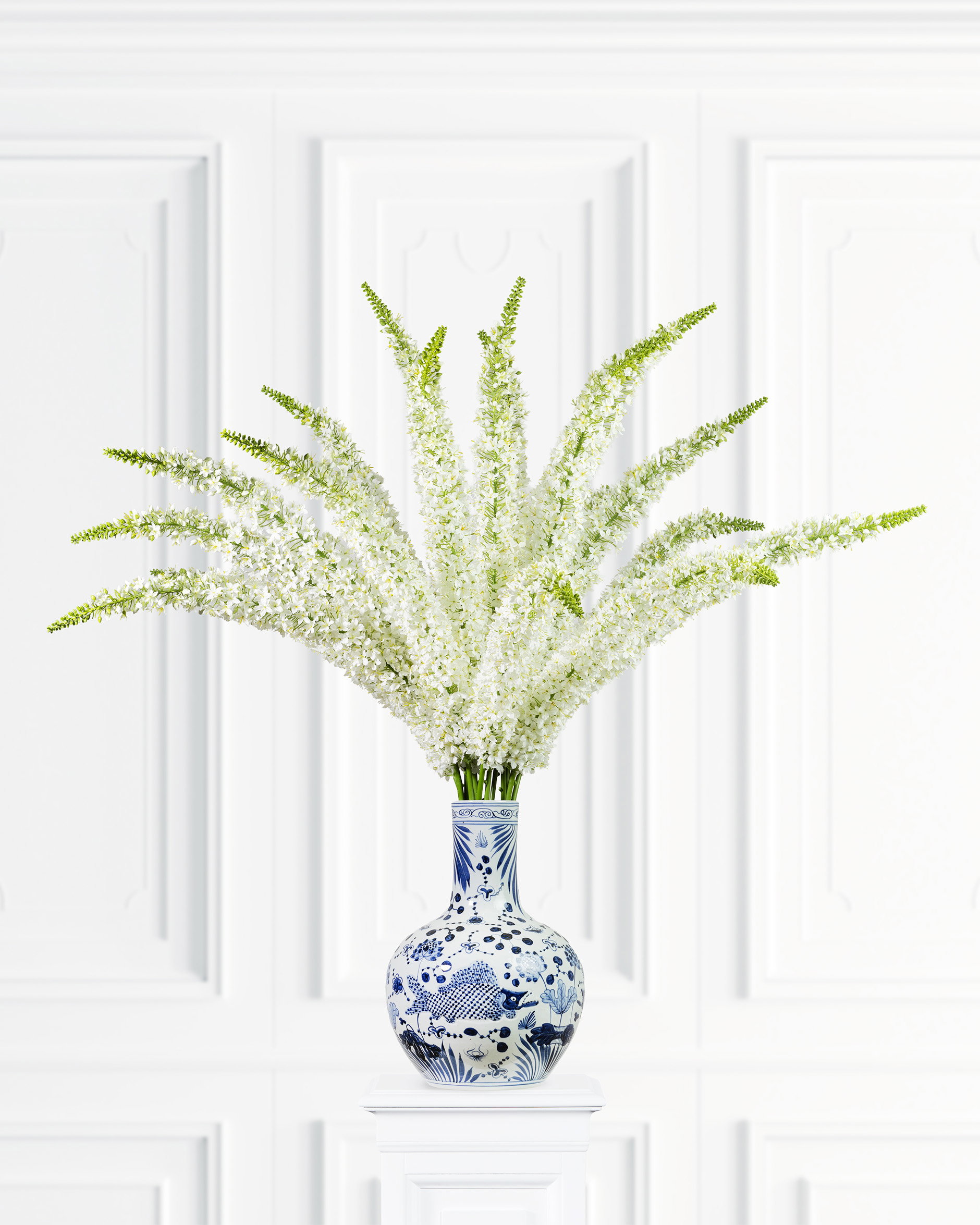 Eremurus Cut Flower White