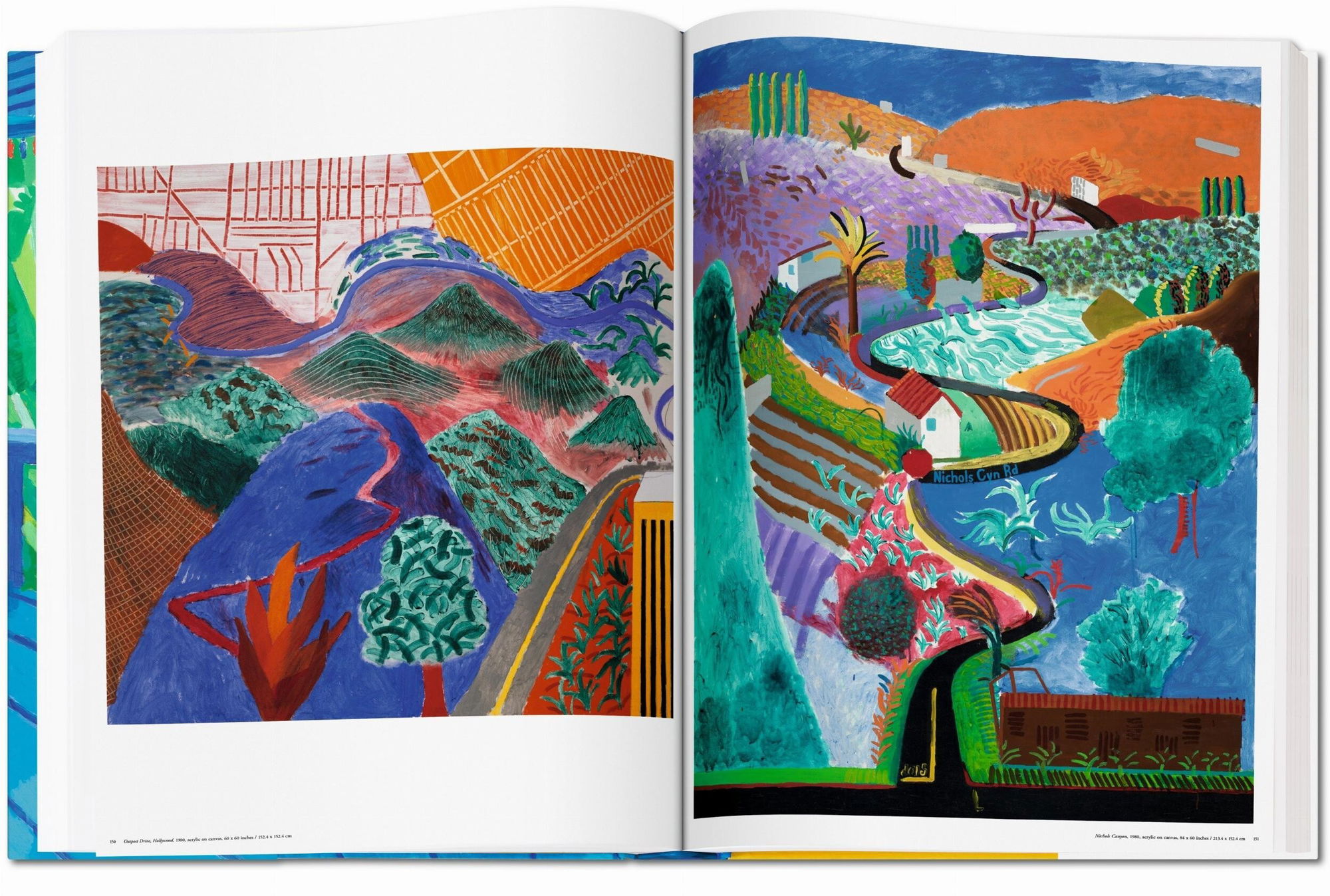 Amazon.com: David Hockney: A Bigger Picture: 9781419702808