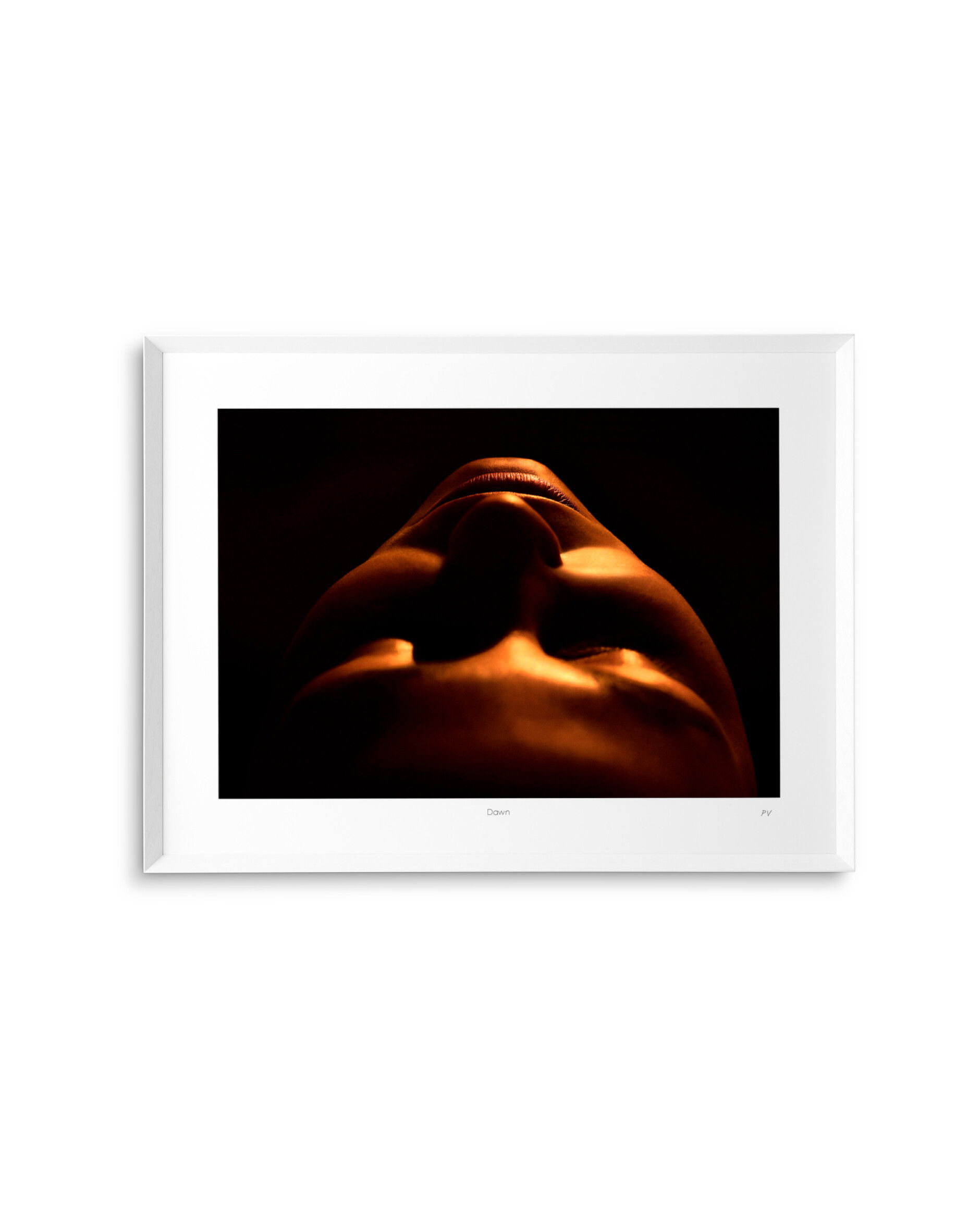 Philippe Vogelenzang - Dawn