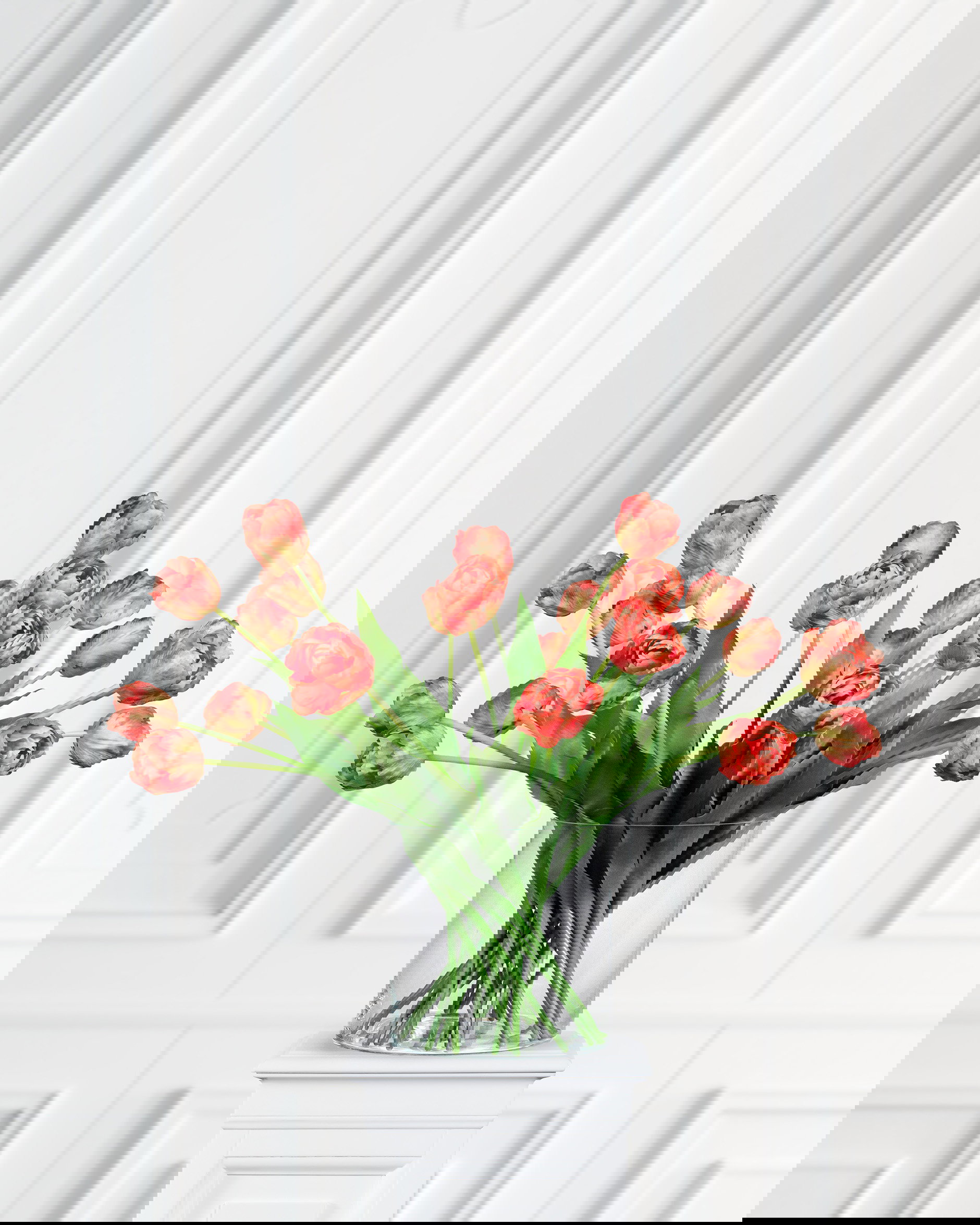 Tulpan snittblomma mörkrosa