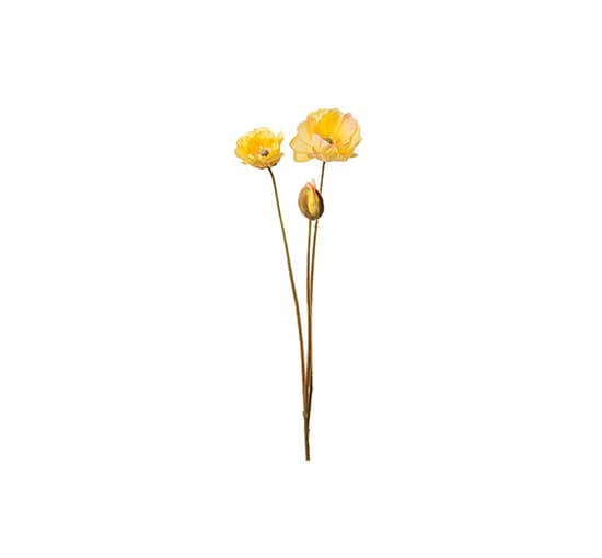 Yellow - Poppy cut flower white OUTLET