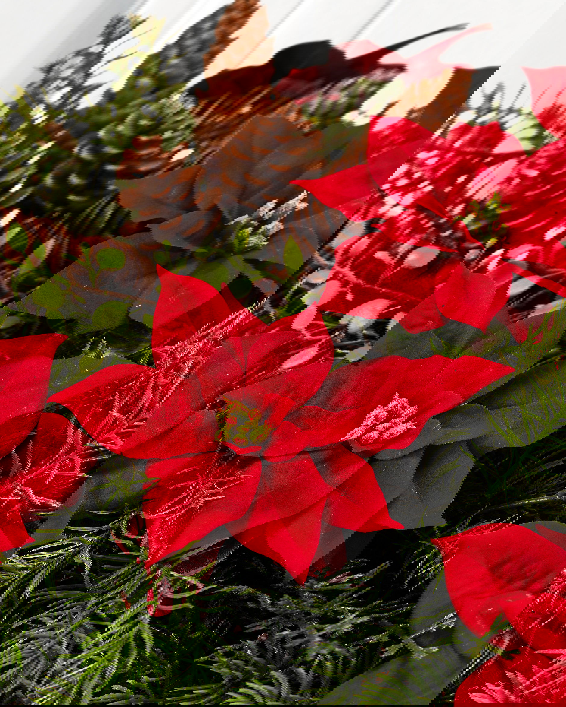 Joulutähti tekokasvi klipsillä punainen