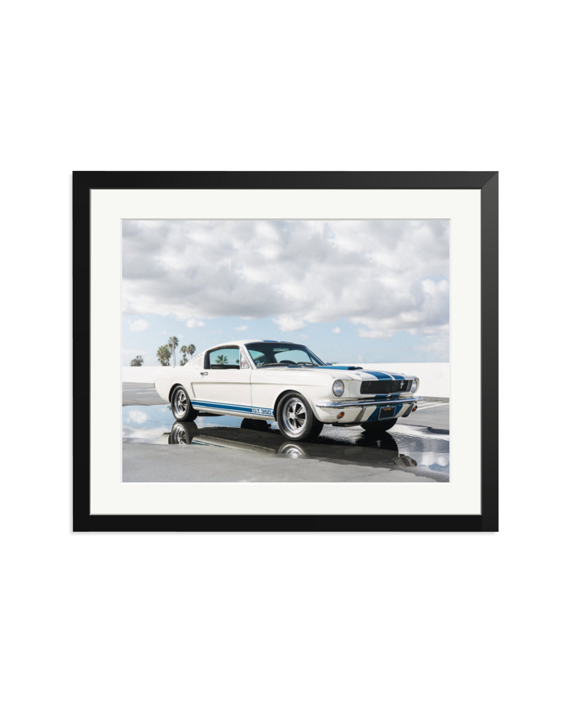 Ford Mustang Shelby GT350 Black / Large