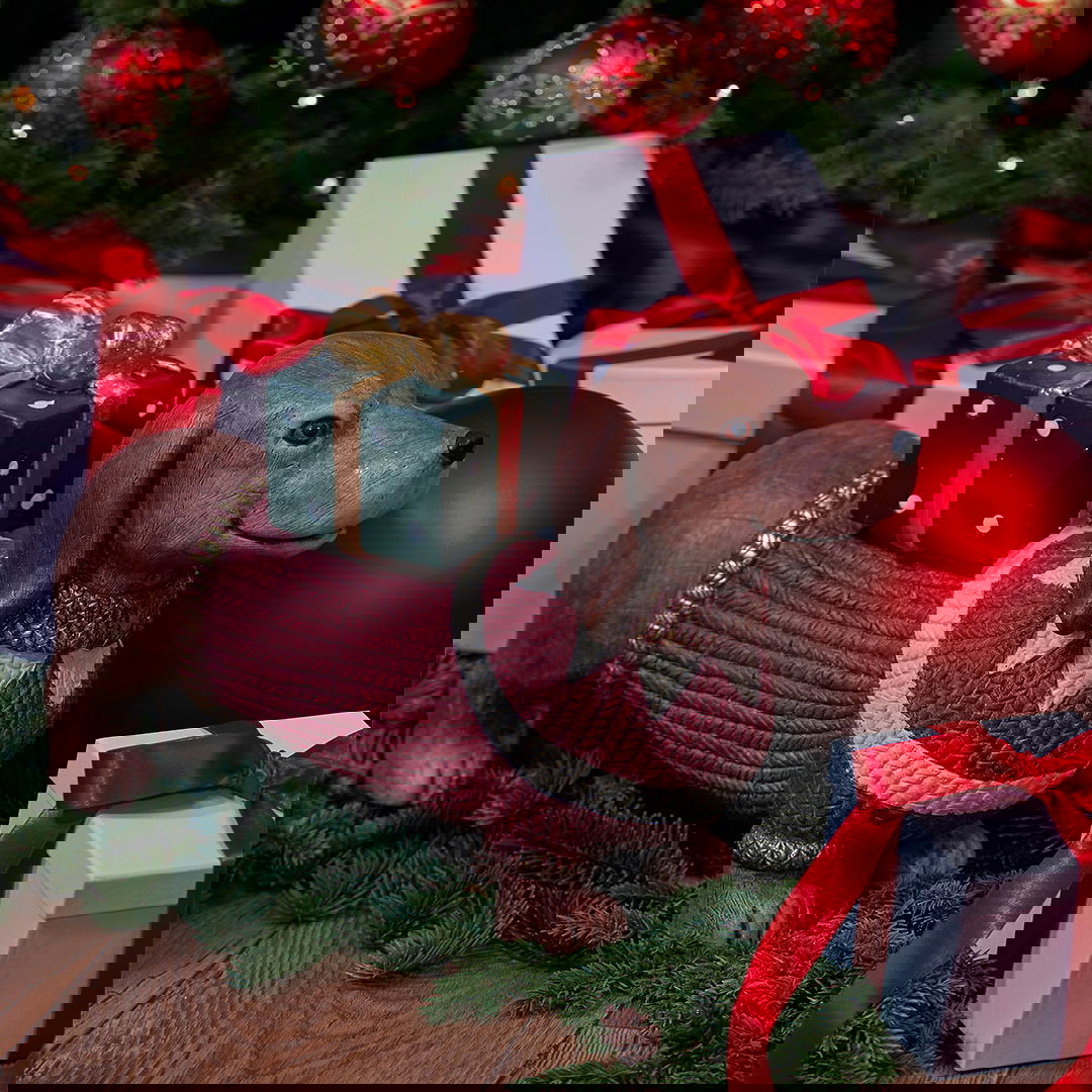 Chestnut Hund Weihnachtsdekoration