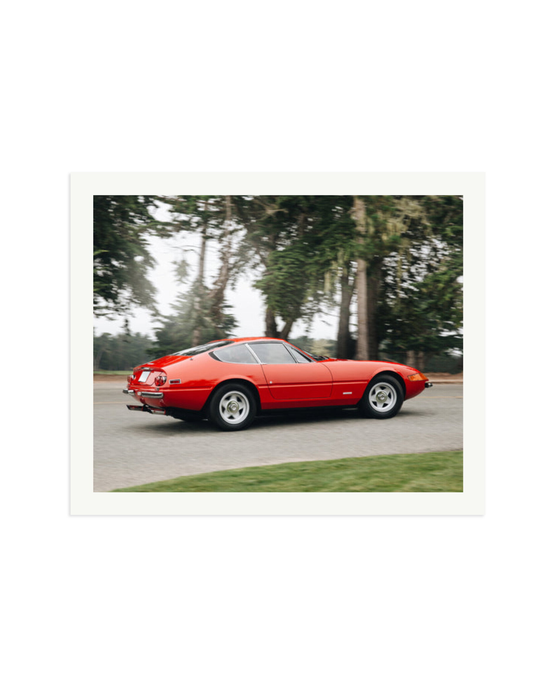 Ferrari Daytona Print Only / XXL