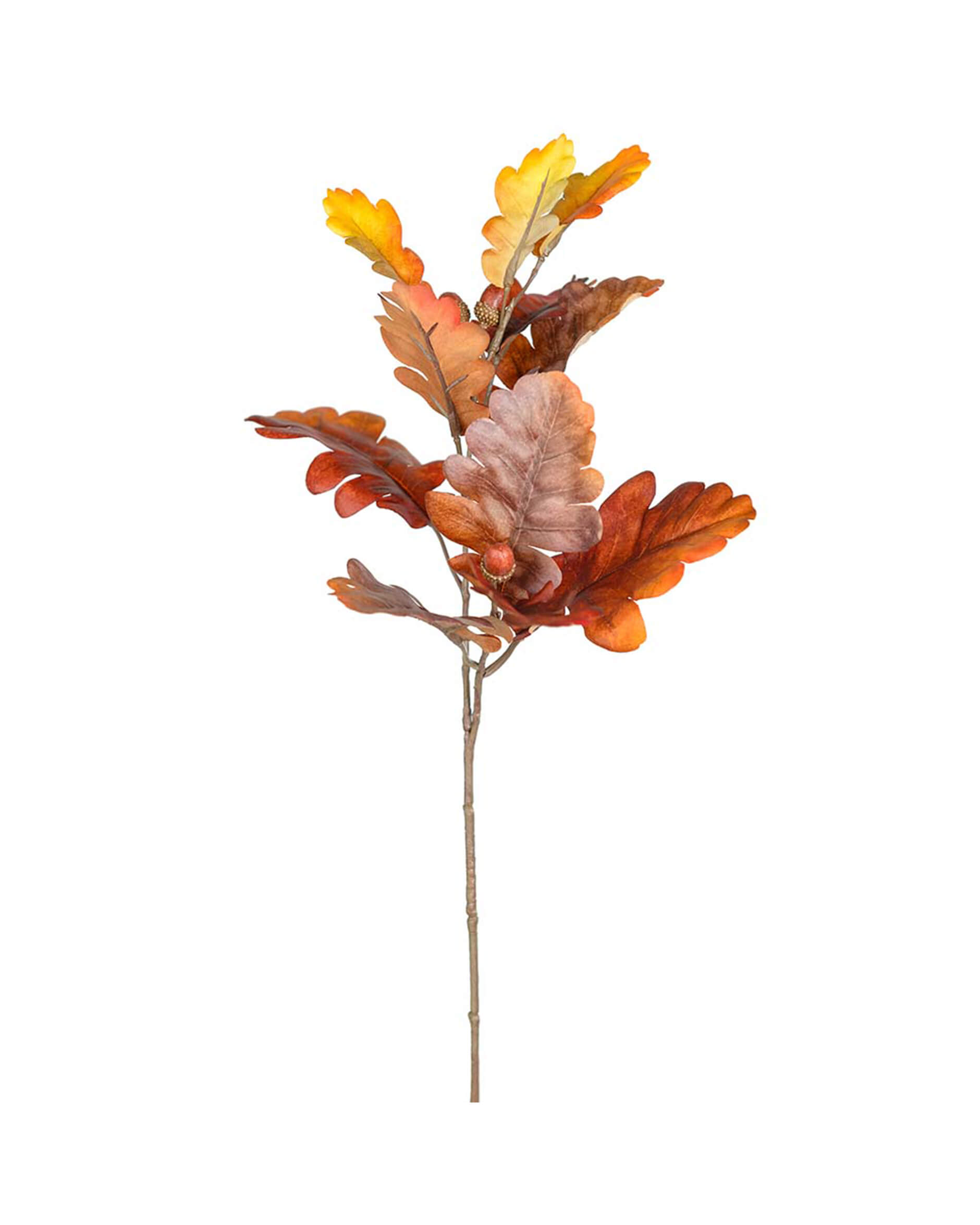 Oak Branch Red OUTLET