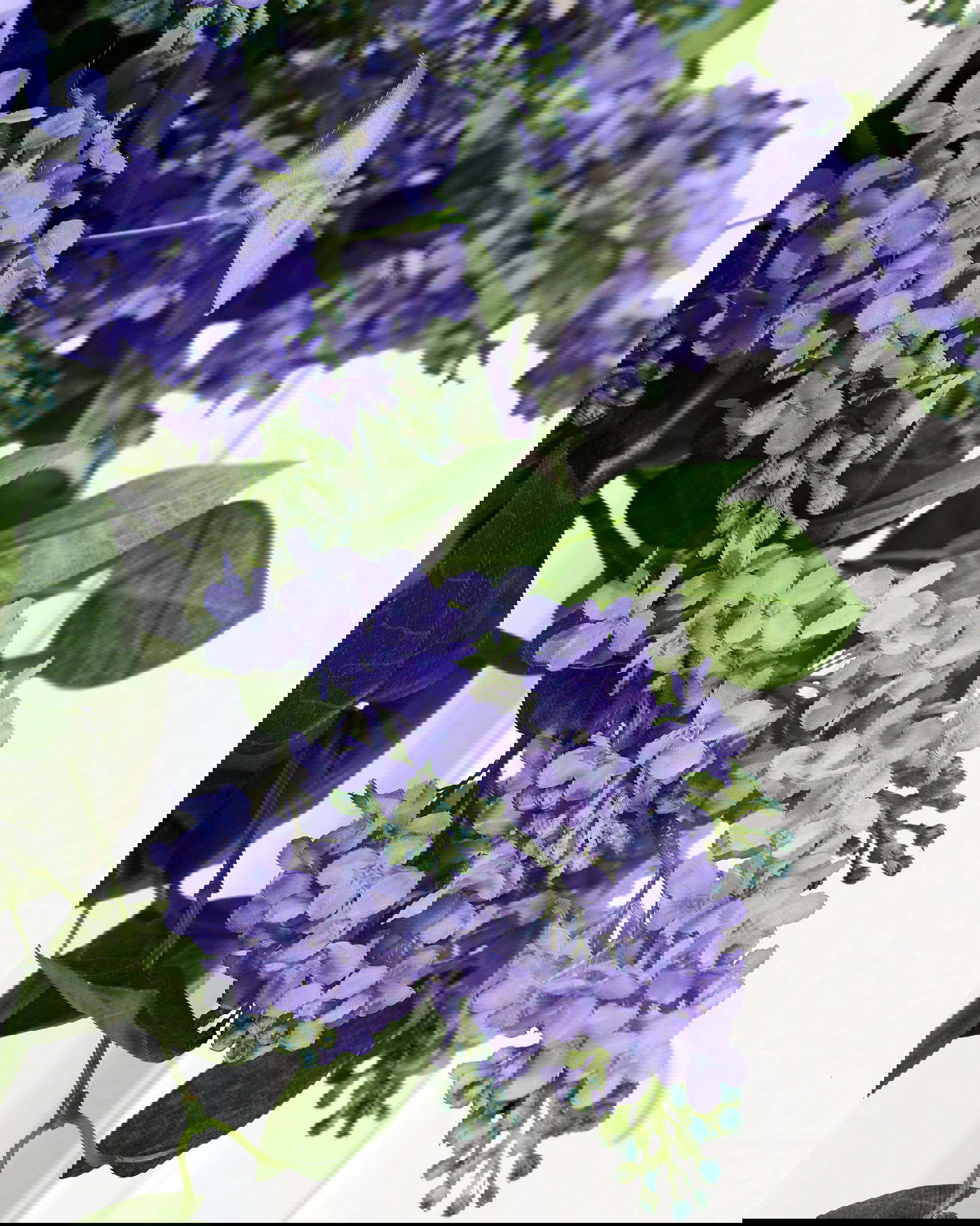 Syreenin oksa, sininen