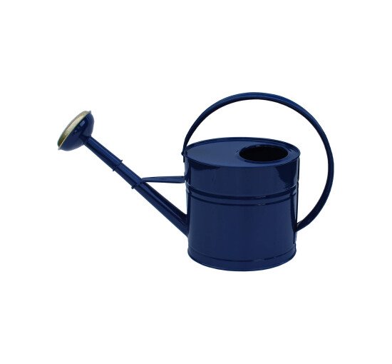 Watering can lacquered blue
