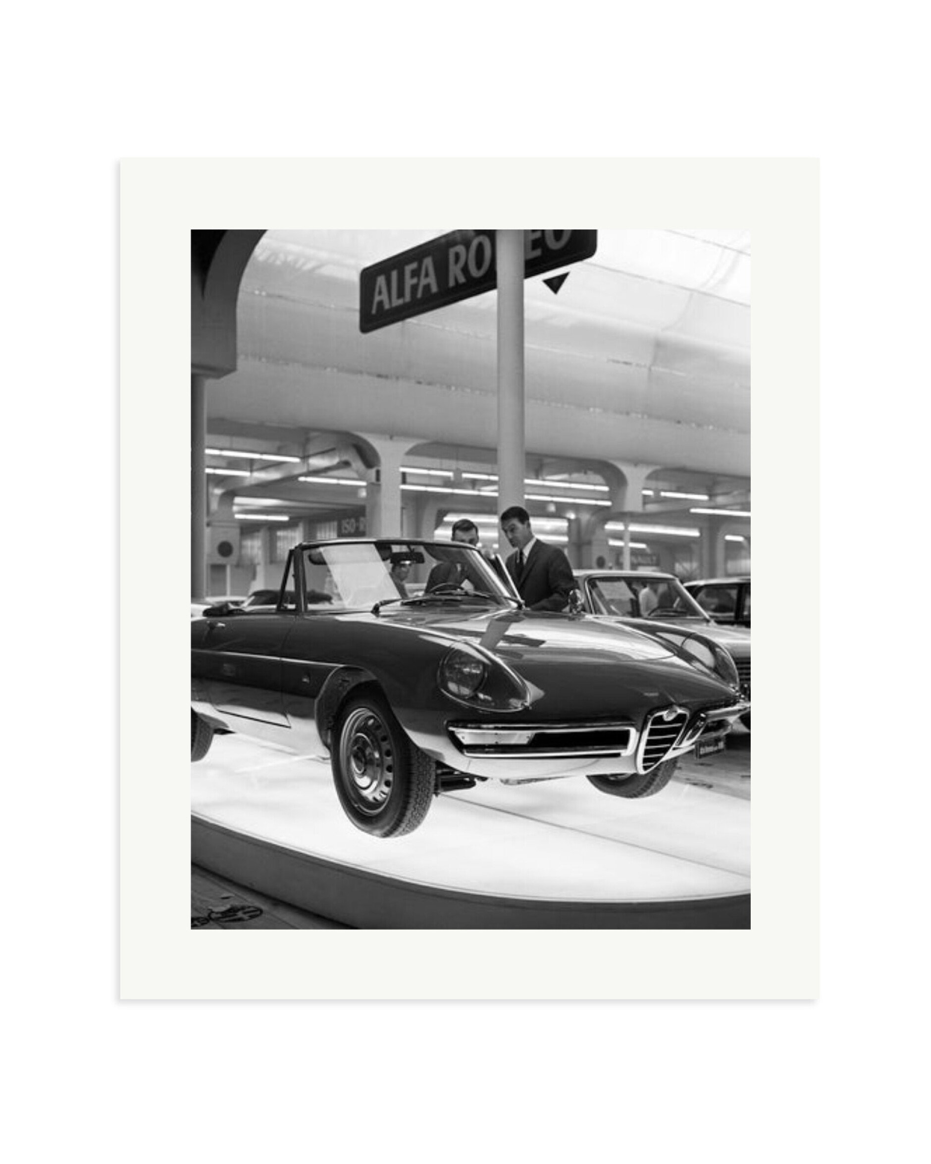 Alfa Romeo Spider 1600 Print Only / Large
