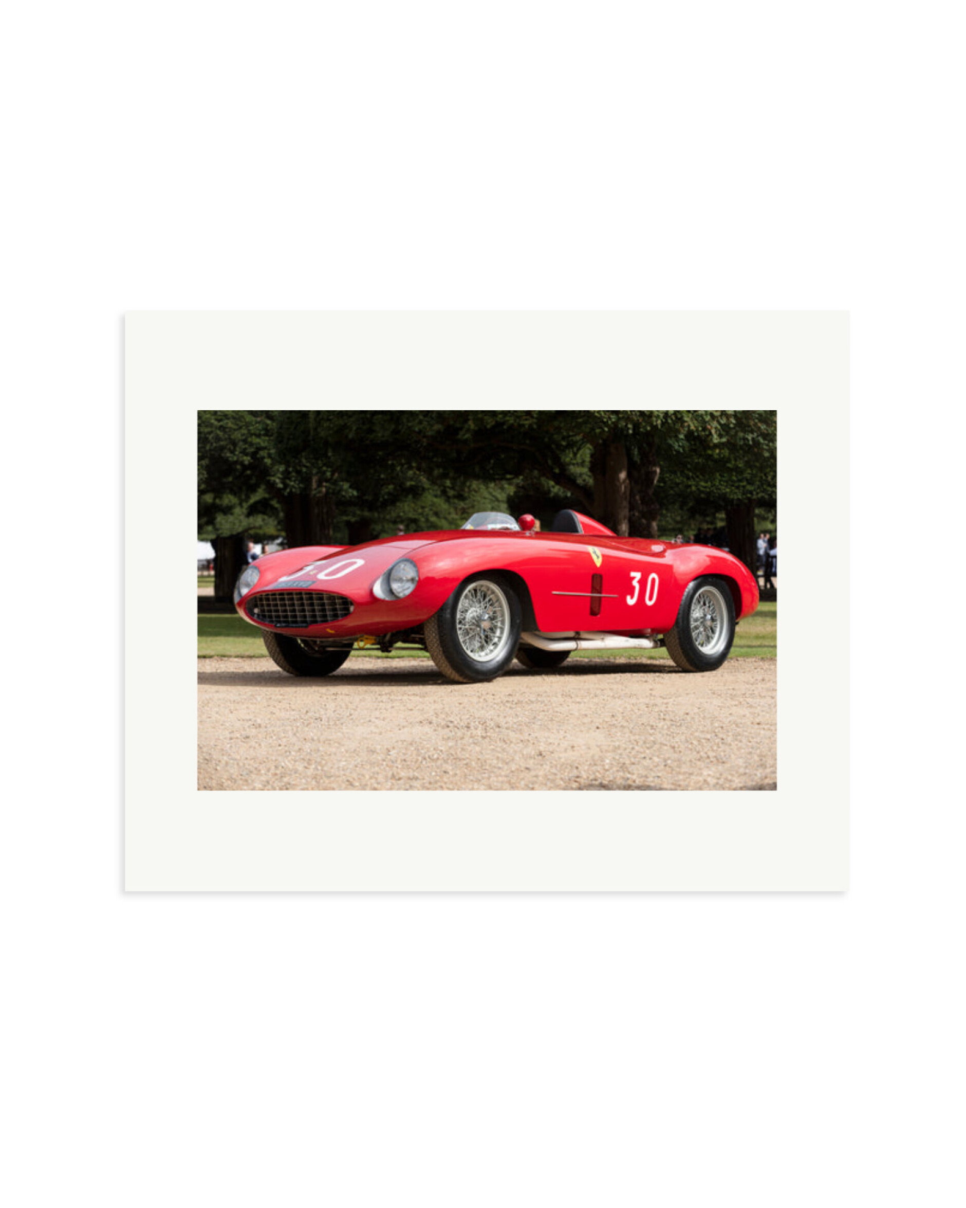 1931 Alfa Romeo Print Only / Medium