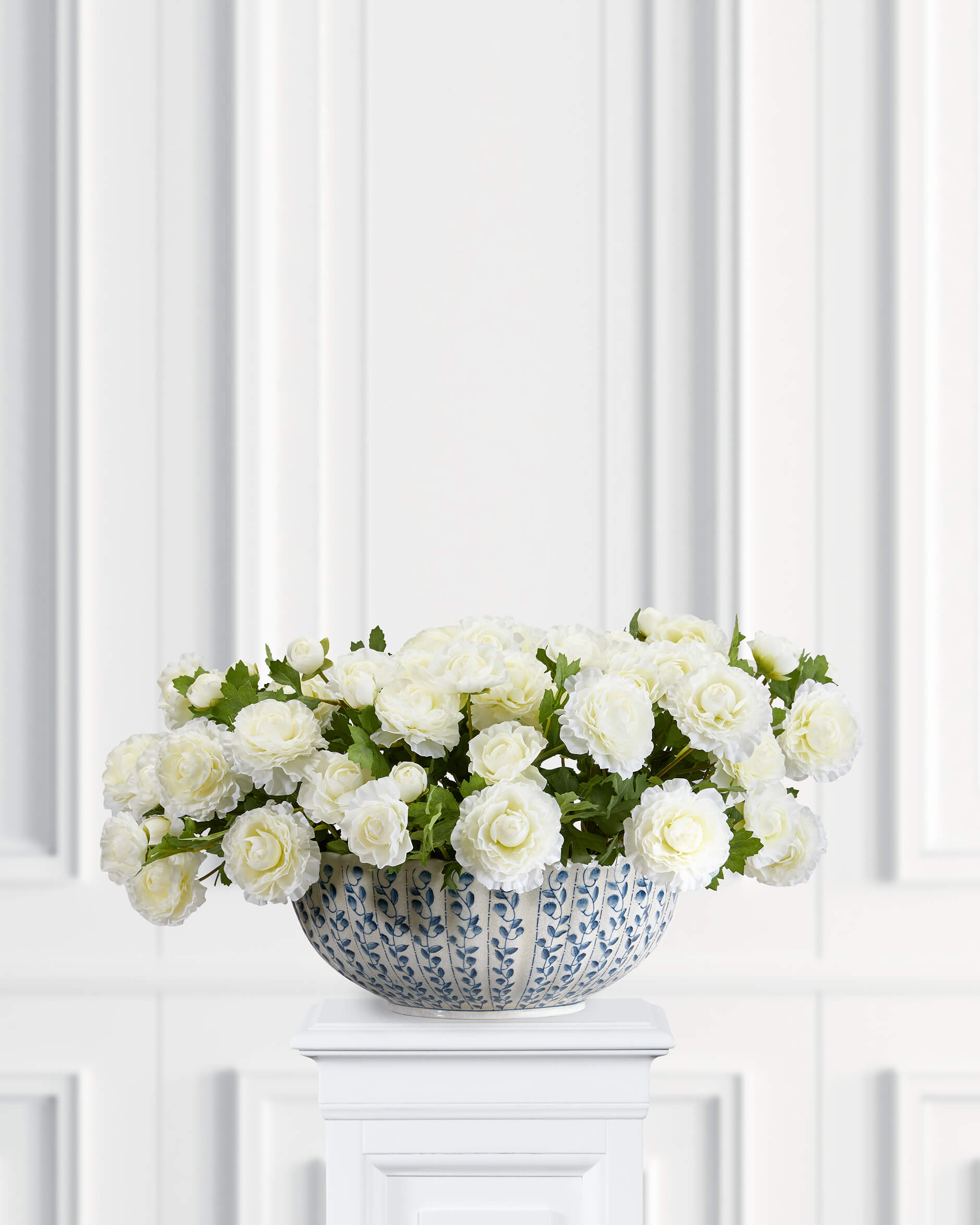 Ranunkel Zimmerpflanze weiß