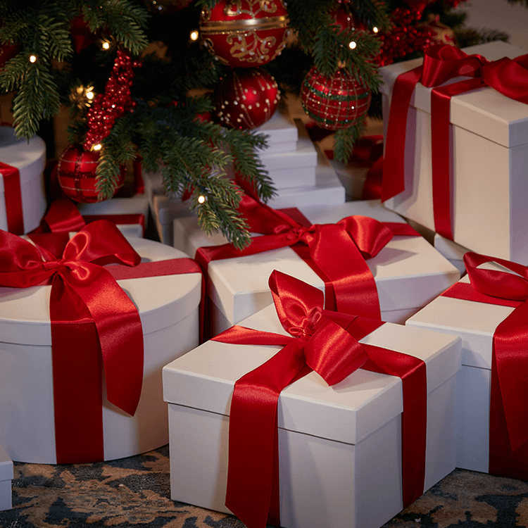 Christmas Gift Guide