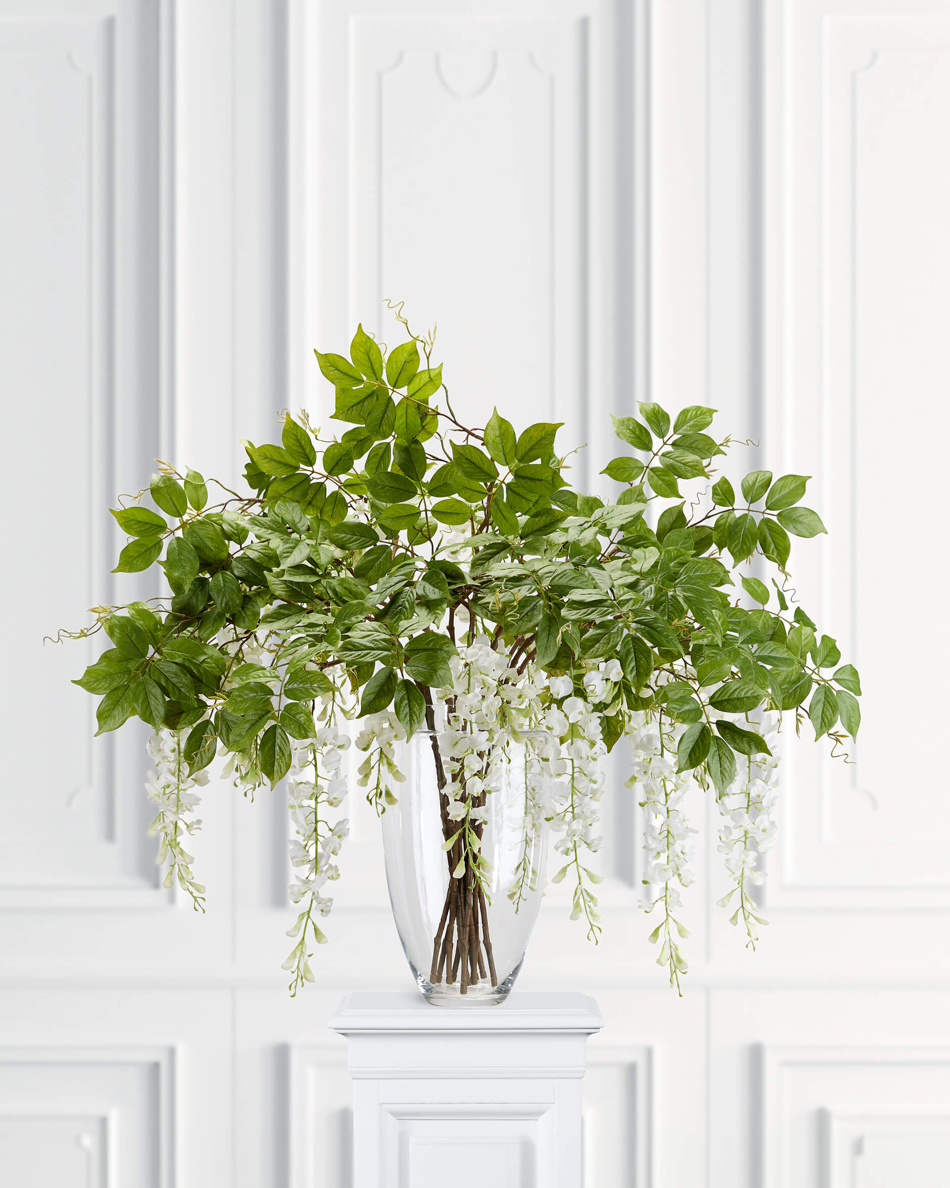 Visteria snittblomma vit