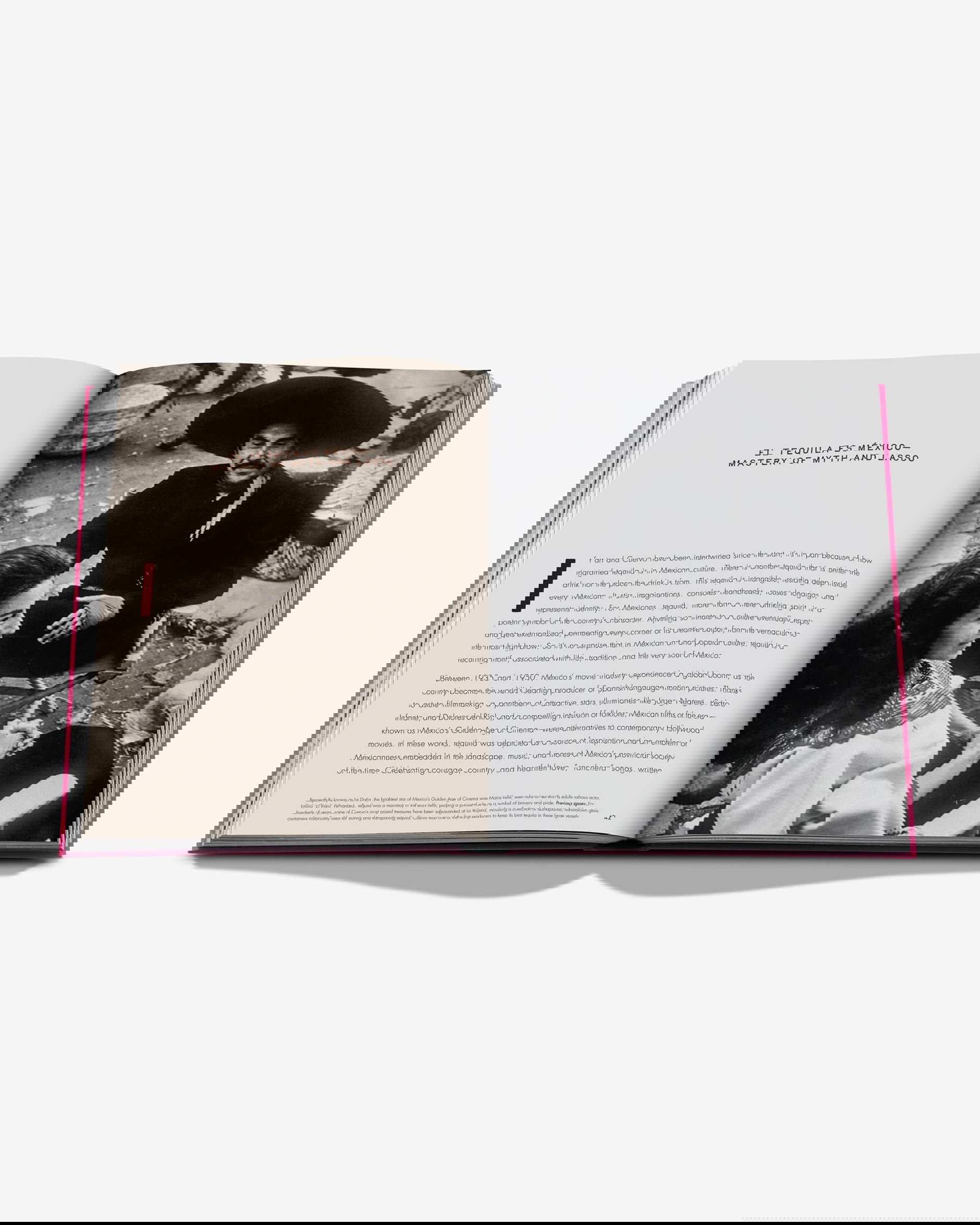 The Art of Tequila, Spirit of Mexico