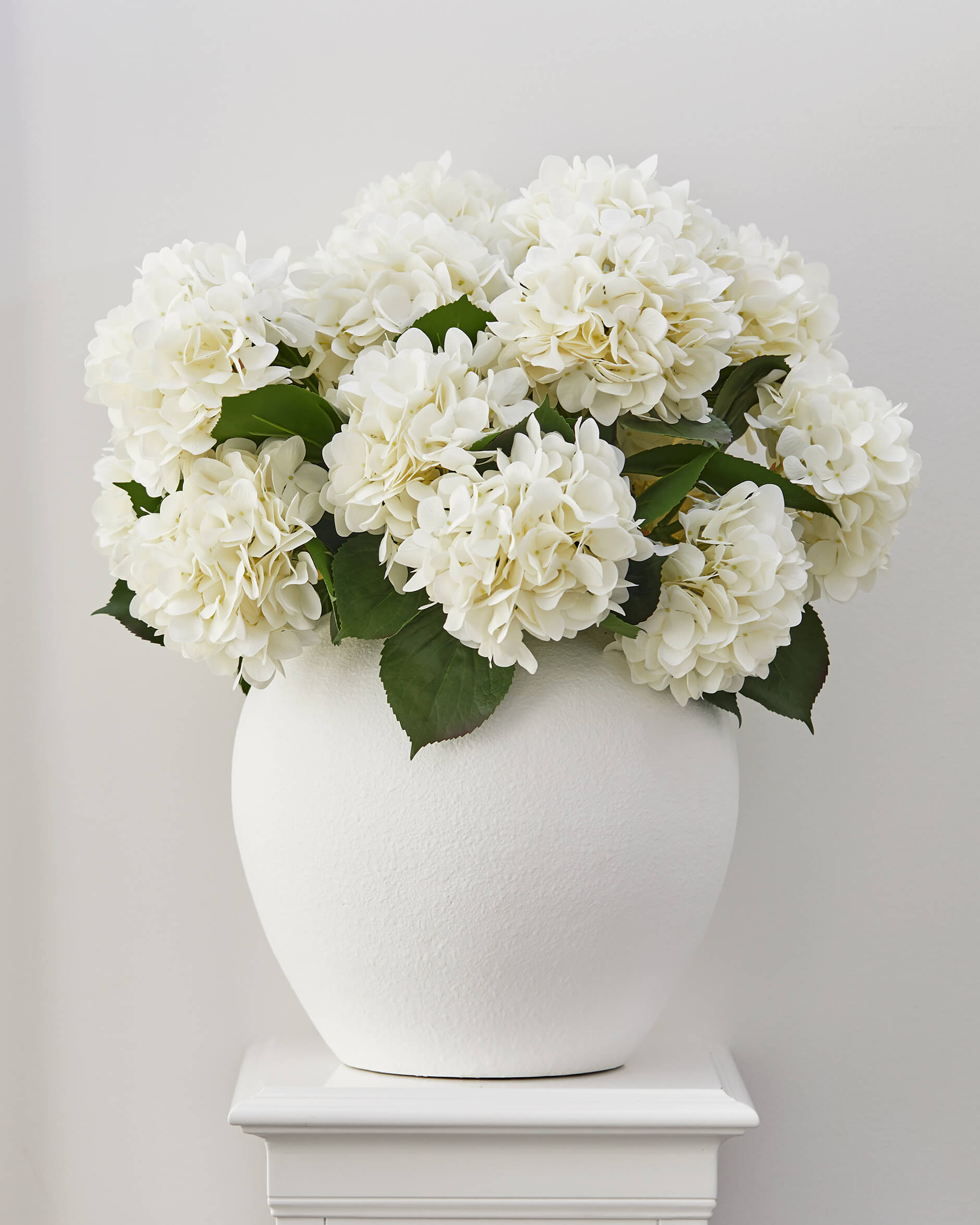 Hortensia snittblomma vit