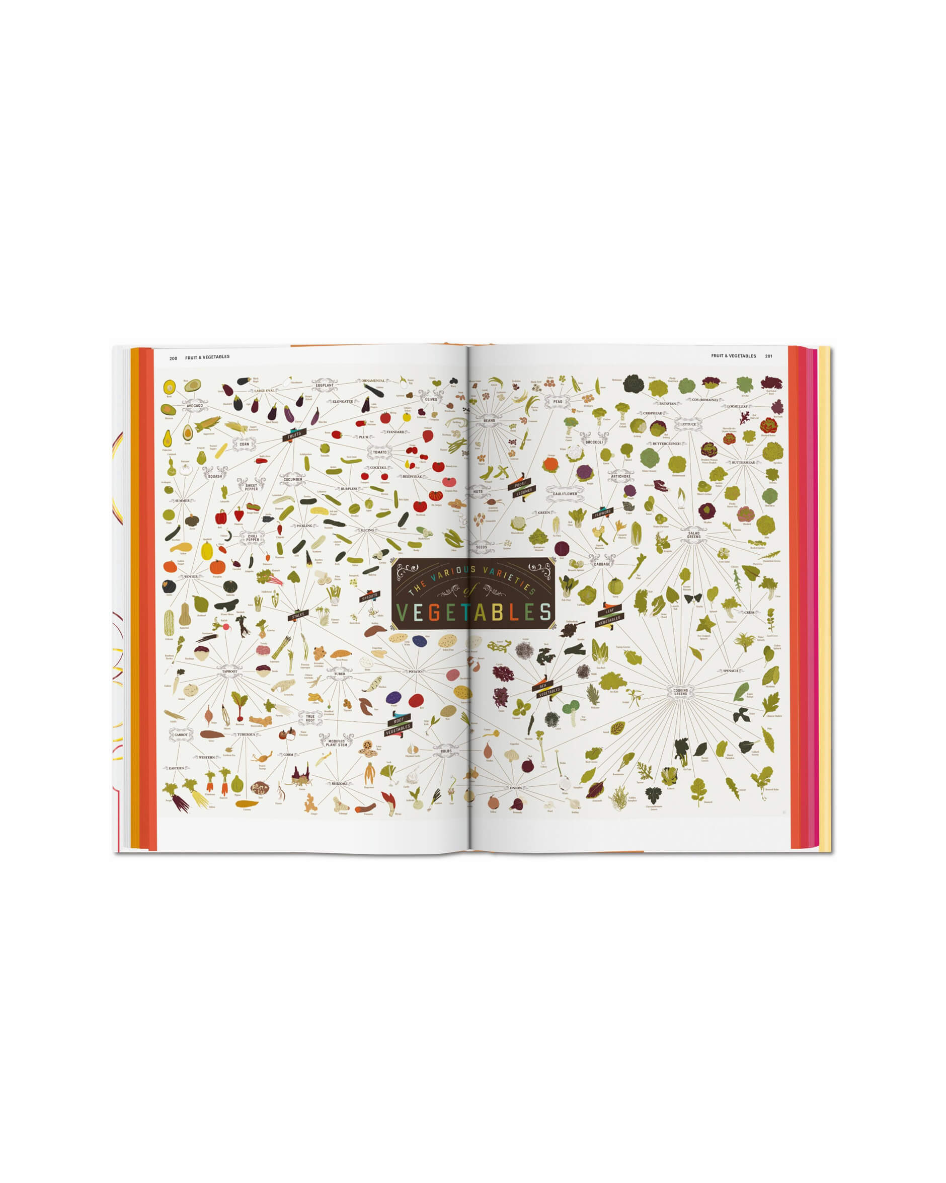 Food & Drink Infographics