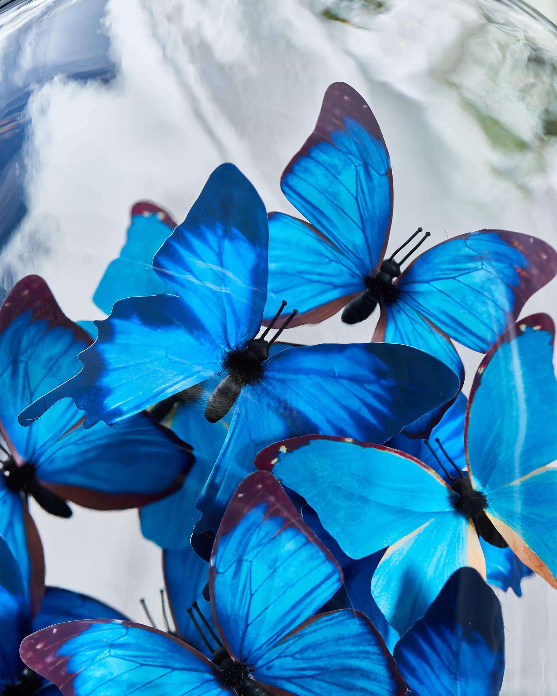 Noves Butterfly Dome Blue