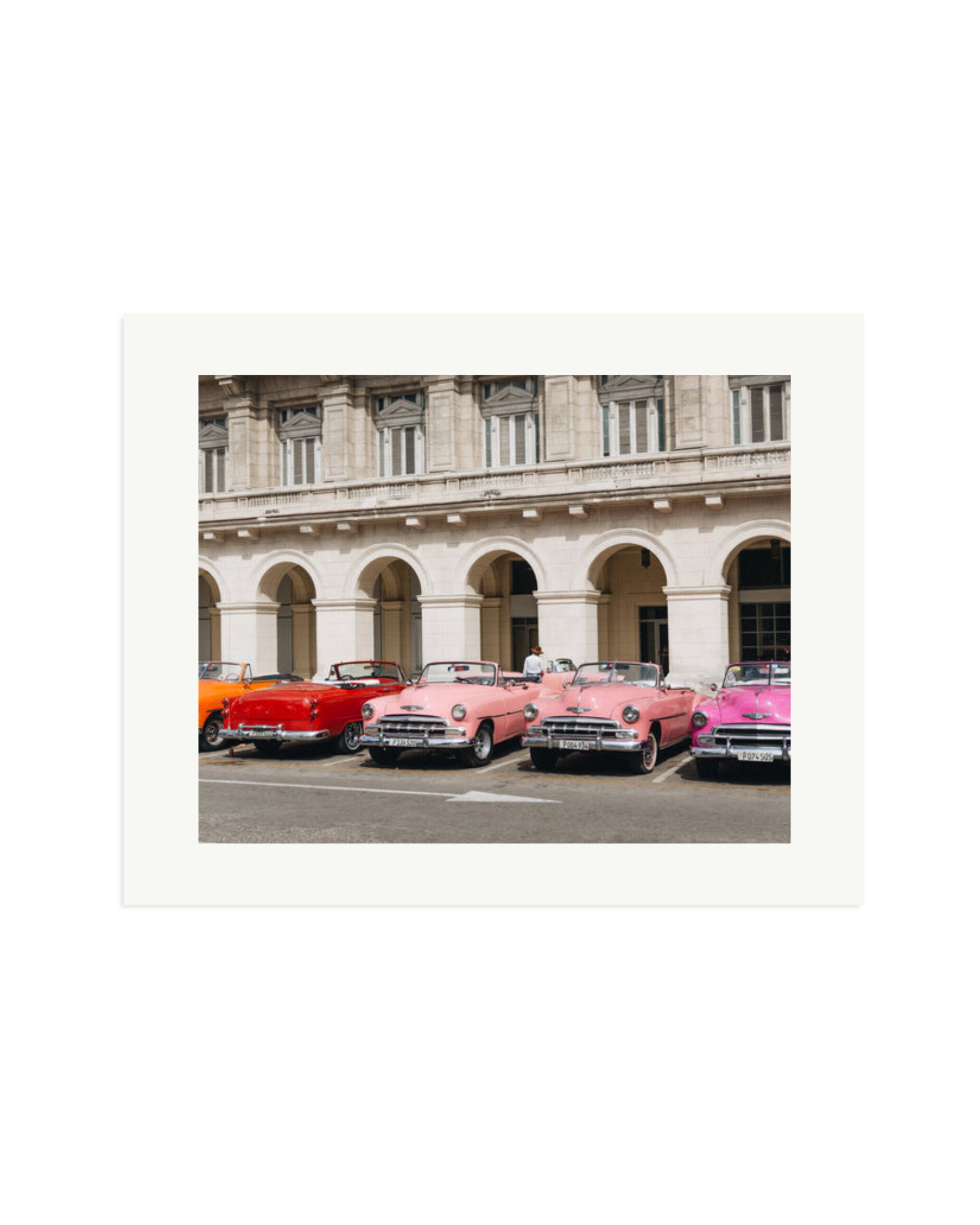 Cars Lined Up Print Only / XL