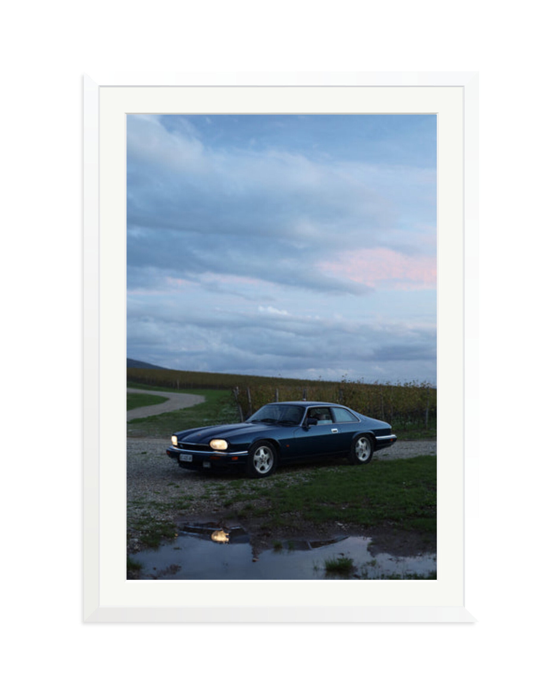 Jaguar XJS White / XXL