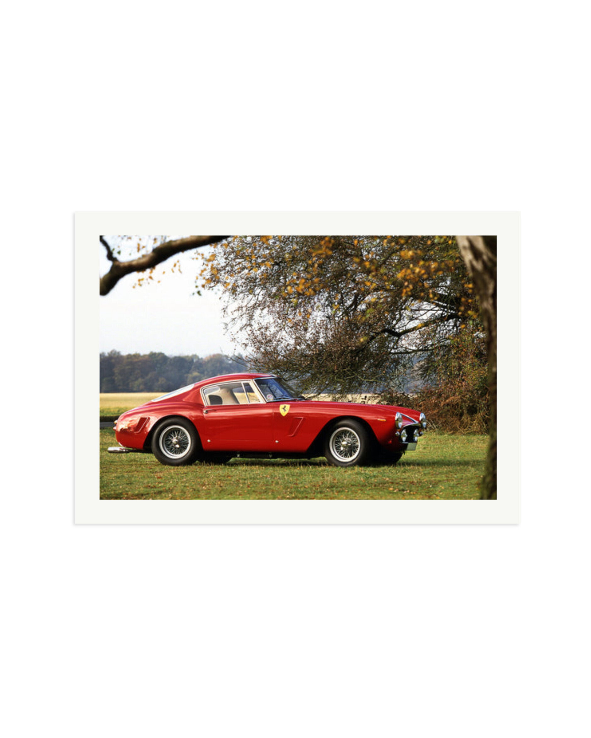 Ferrari Competizione Print Only / XXL