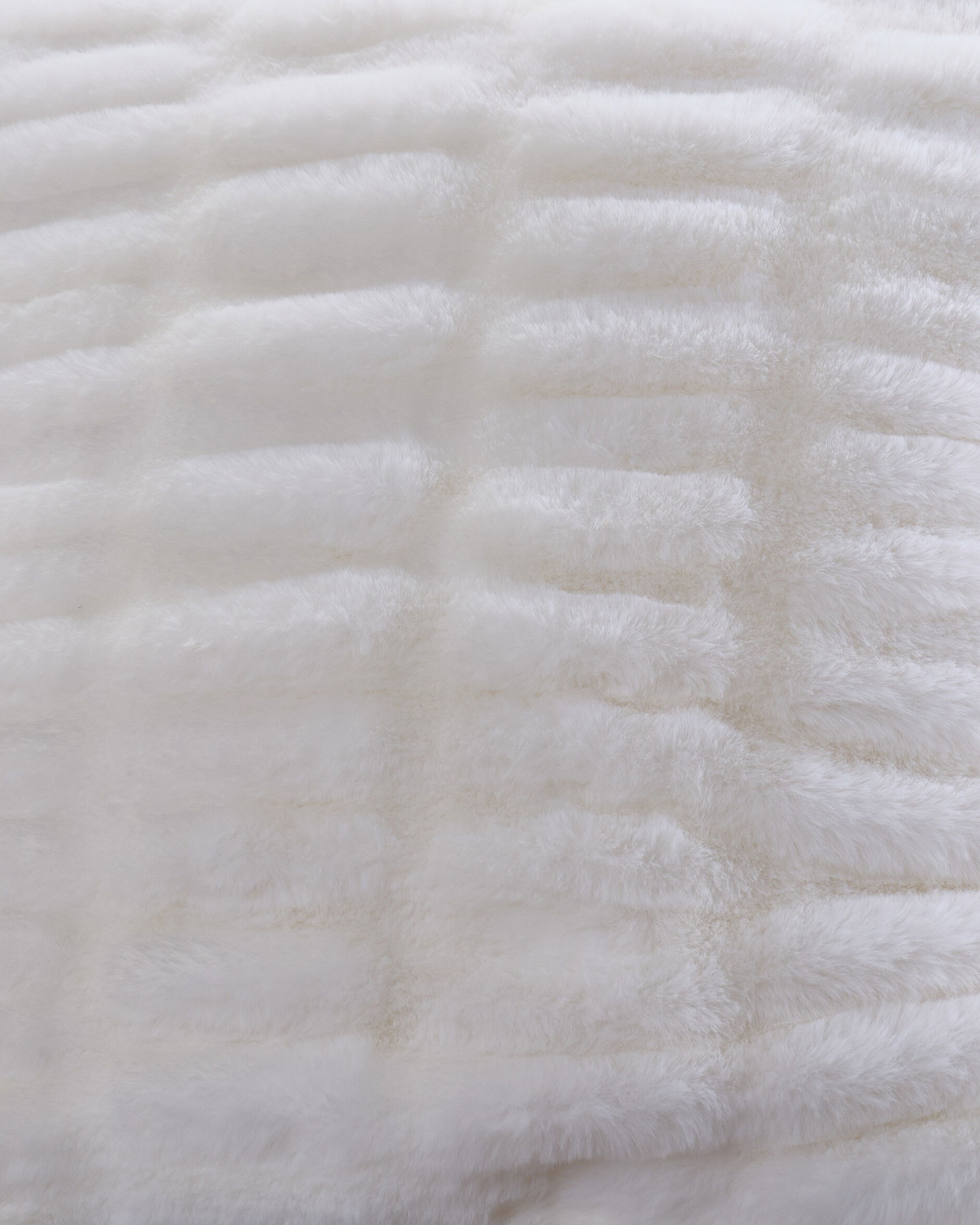 Montana kudde arctic fox