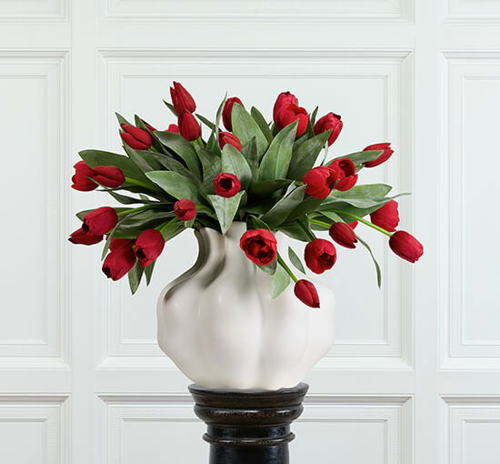 null - Tulip Cut Flower Red