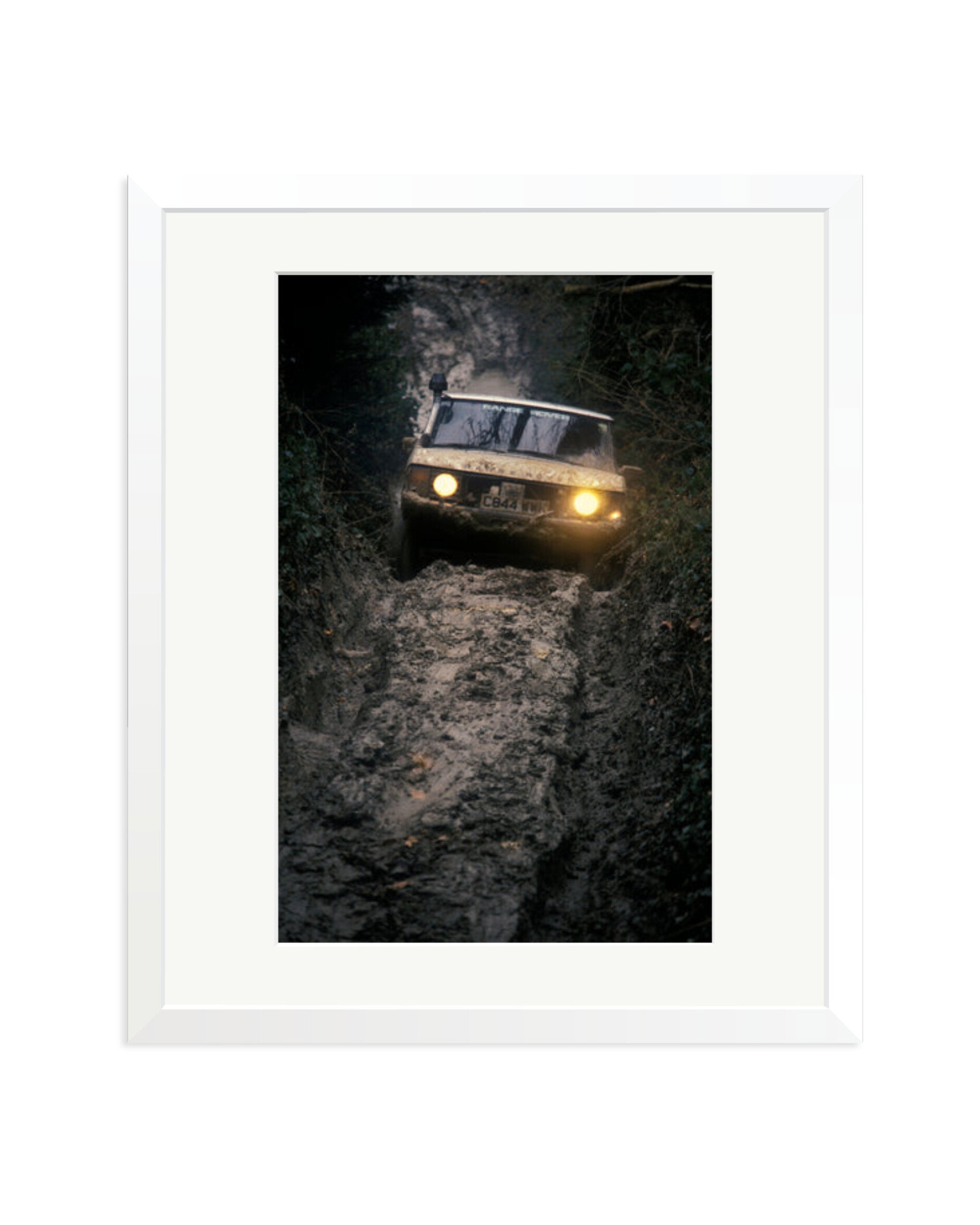 Test Track White / Large