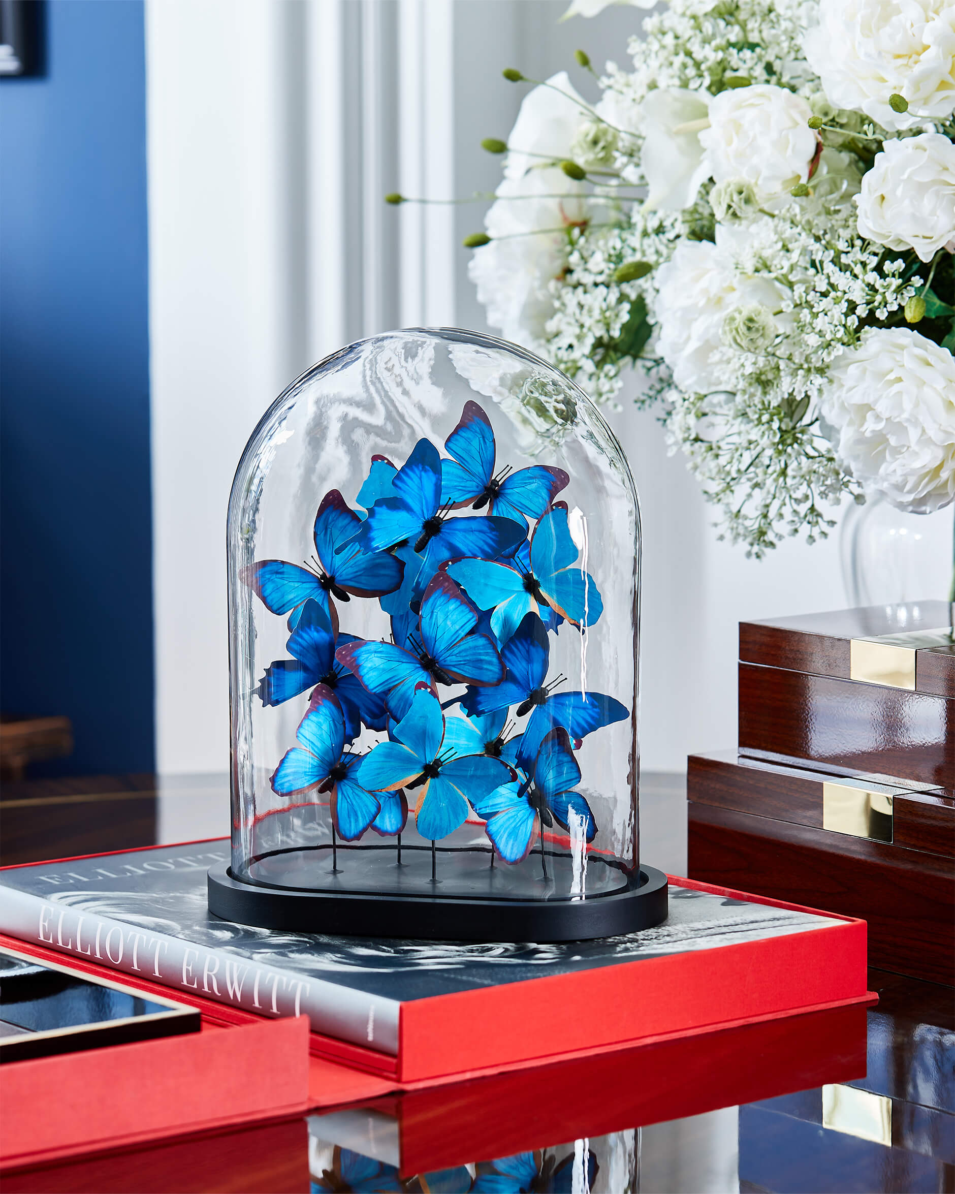 Noves Butterfly Dome Blue